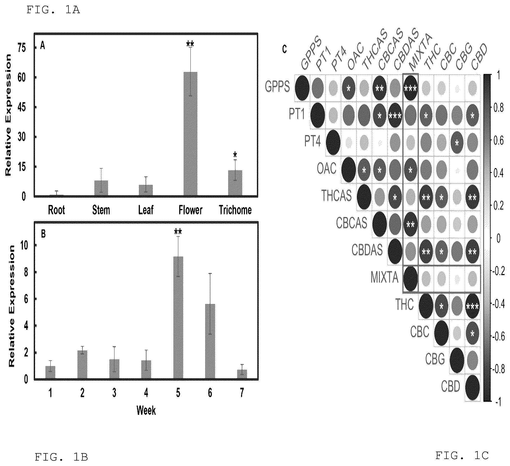 Patent US12103950 Figure 1 – Transgenic plants that overexpress a R2R3-MYB transcription factor gene and methods for producing the same