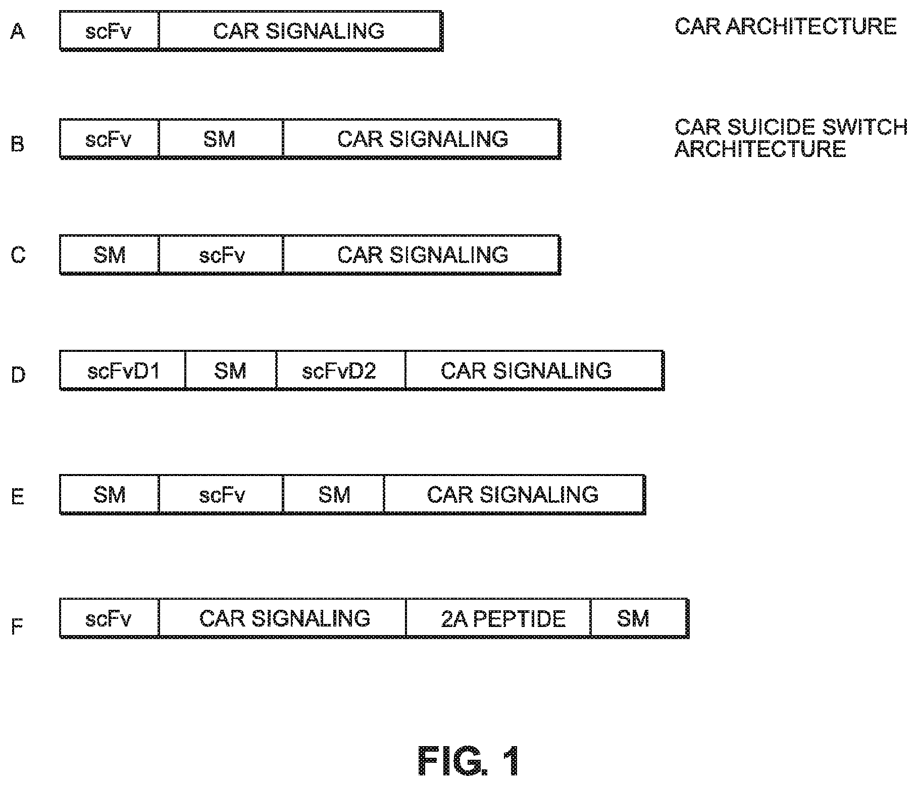 Patent US12103956 — Suicide module compositions and methods — Figure 1