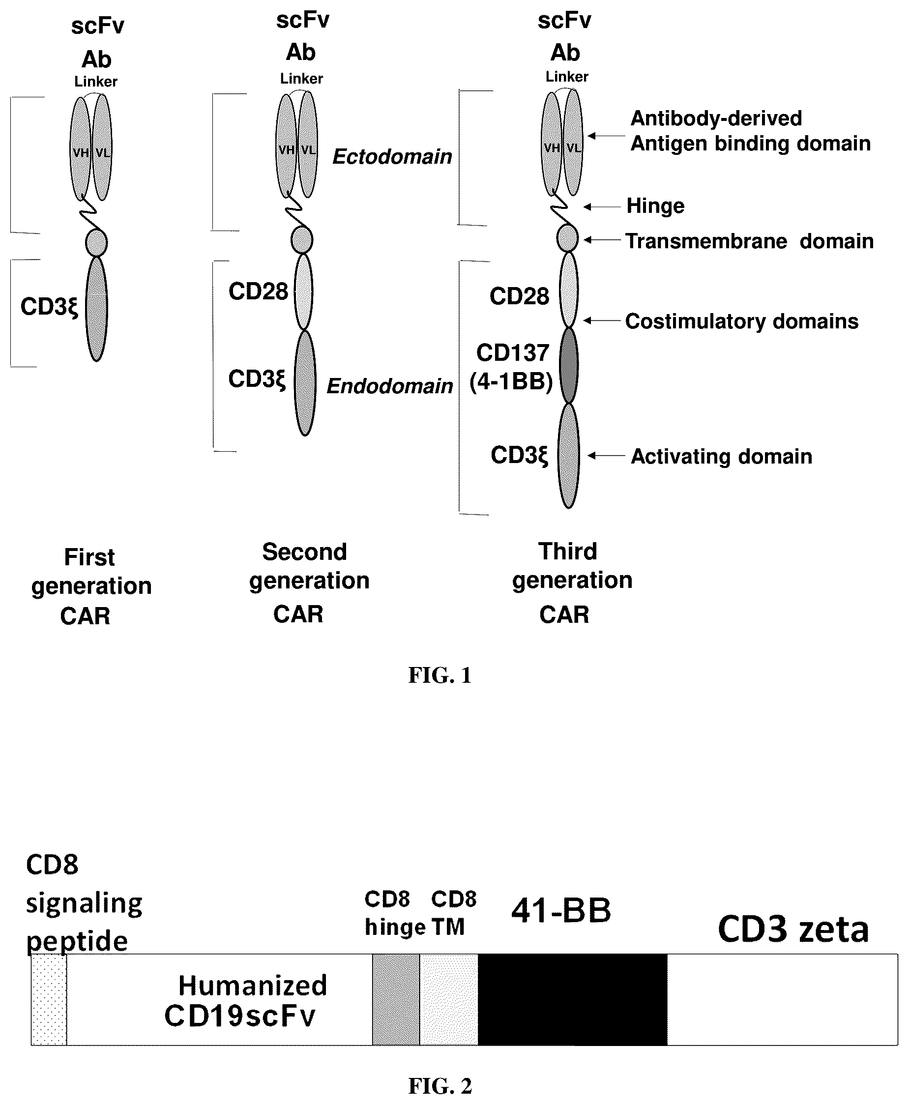 Patent US12103970 — CAR-T cells with humanized CD19 ScFv — Figure 1