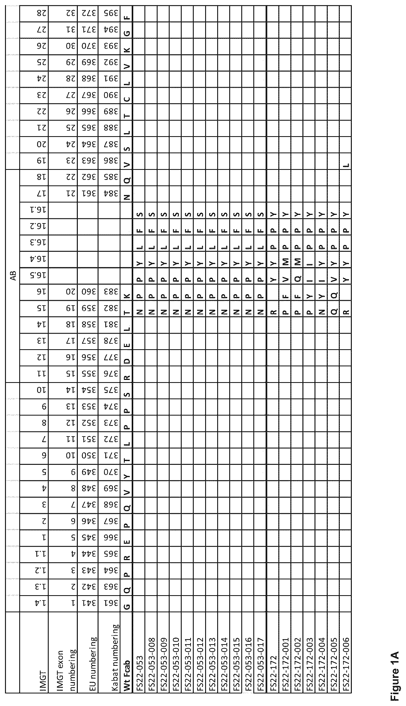 Patent US12103976 — Fc binding fragments comprising a CD137 antigen-binding site — Figure 1
