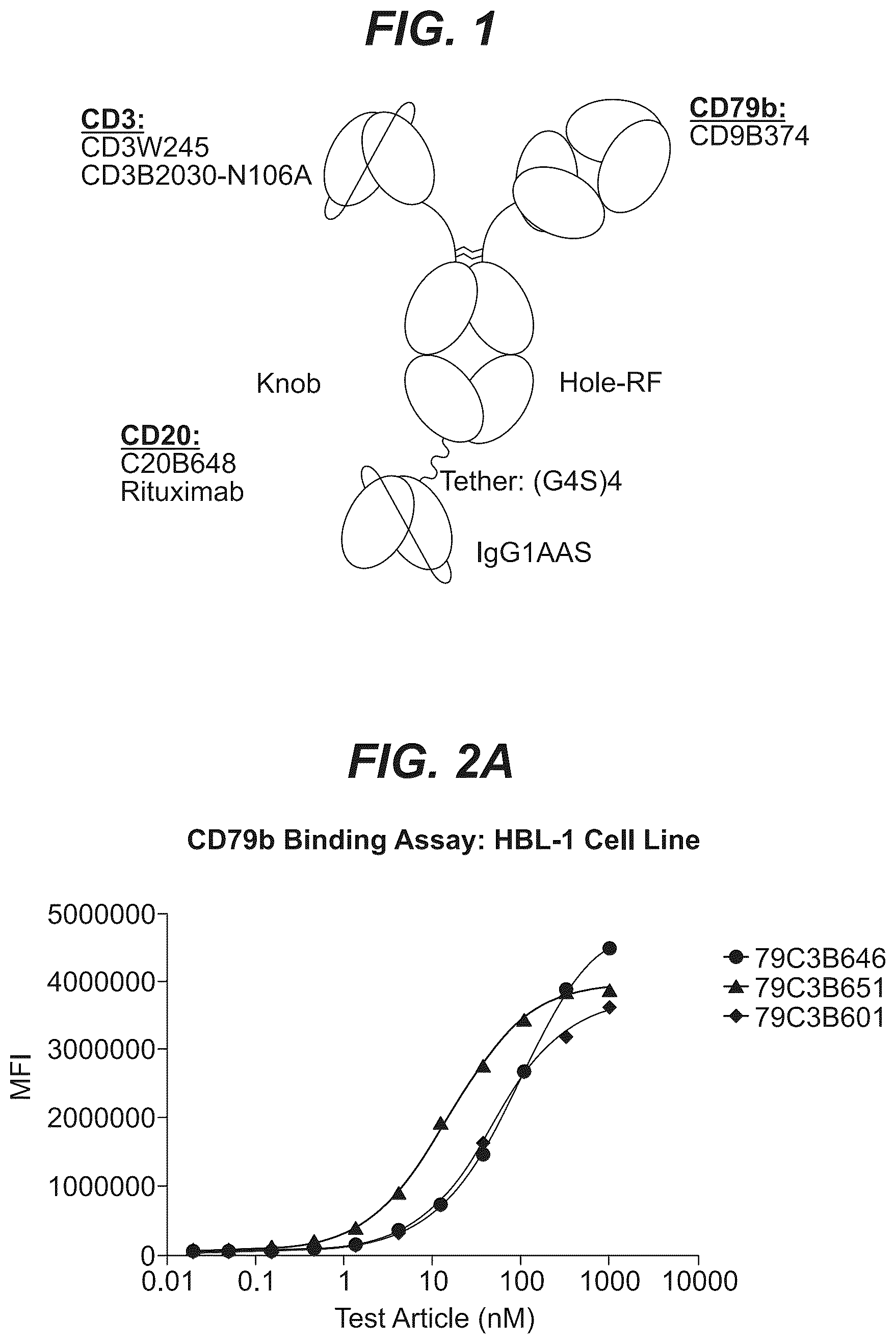 Patent US12103977 — Trispecific antibody targeting CD79b, CD20, and CD3 — Figure 1