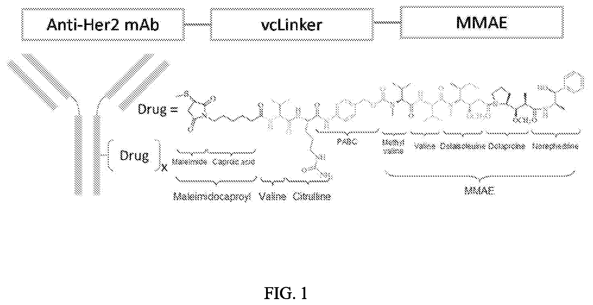 Patent US12103978 — Methods and materials for treating cancer — Figure 1