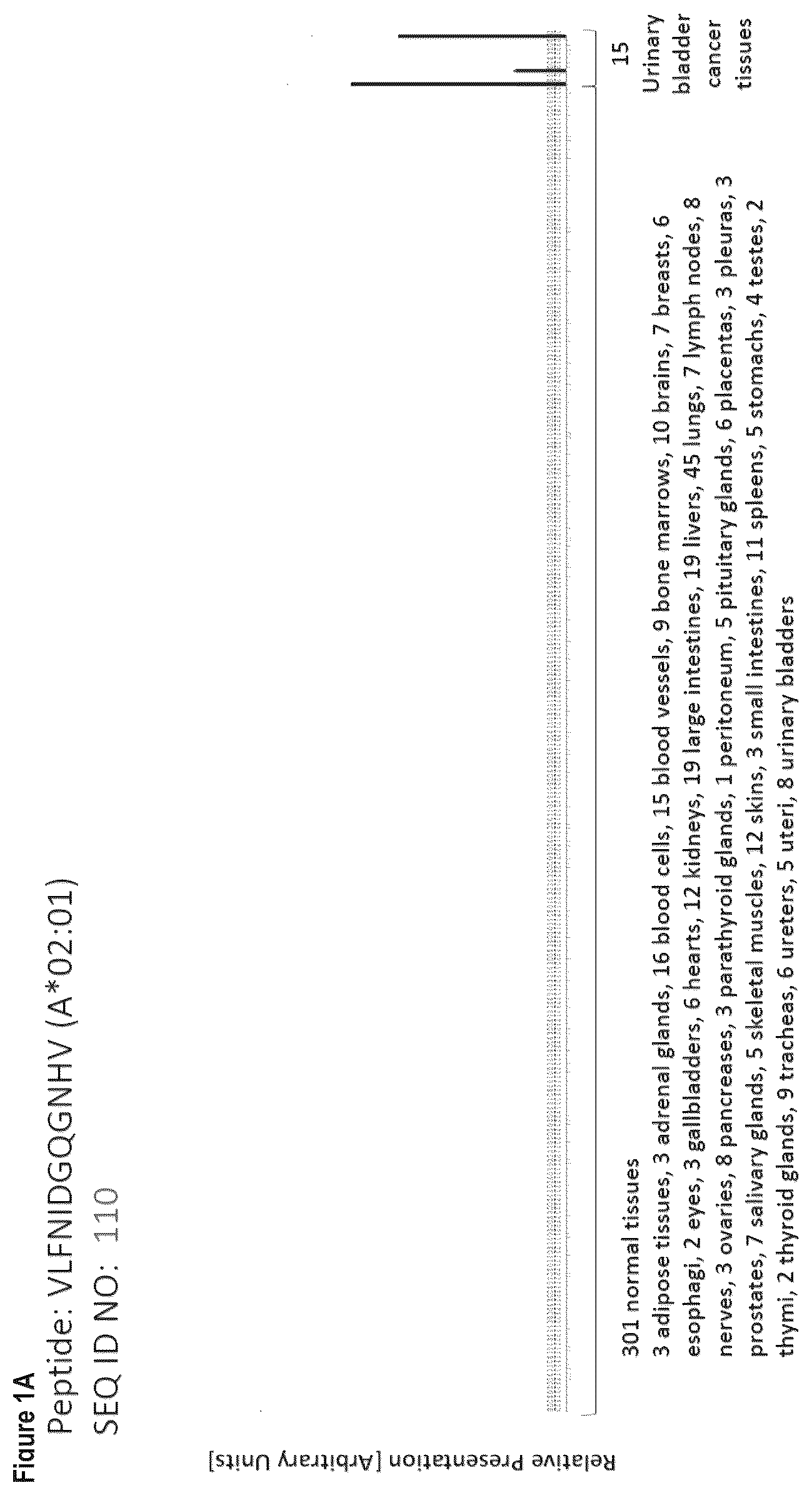 Patent US12103984 — Peptides, combination of peptides, and cell based medicaments for use in immunotherapy against urinary bladder cancer and other cancers — Figure 1
