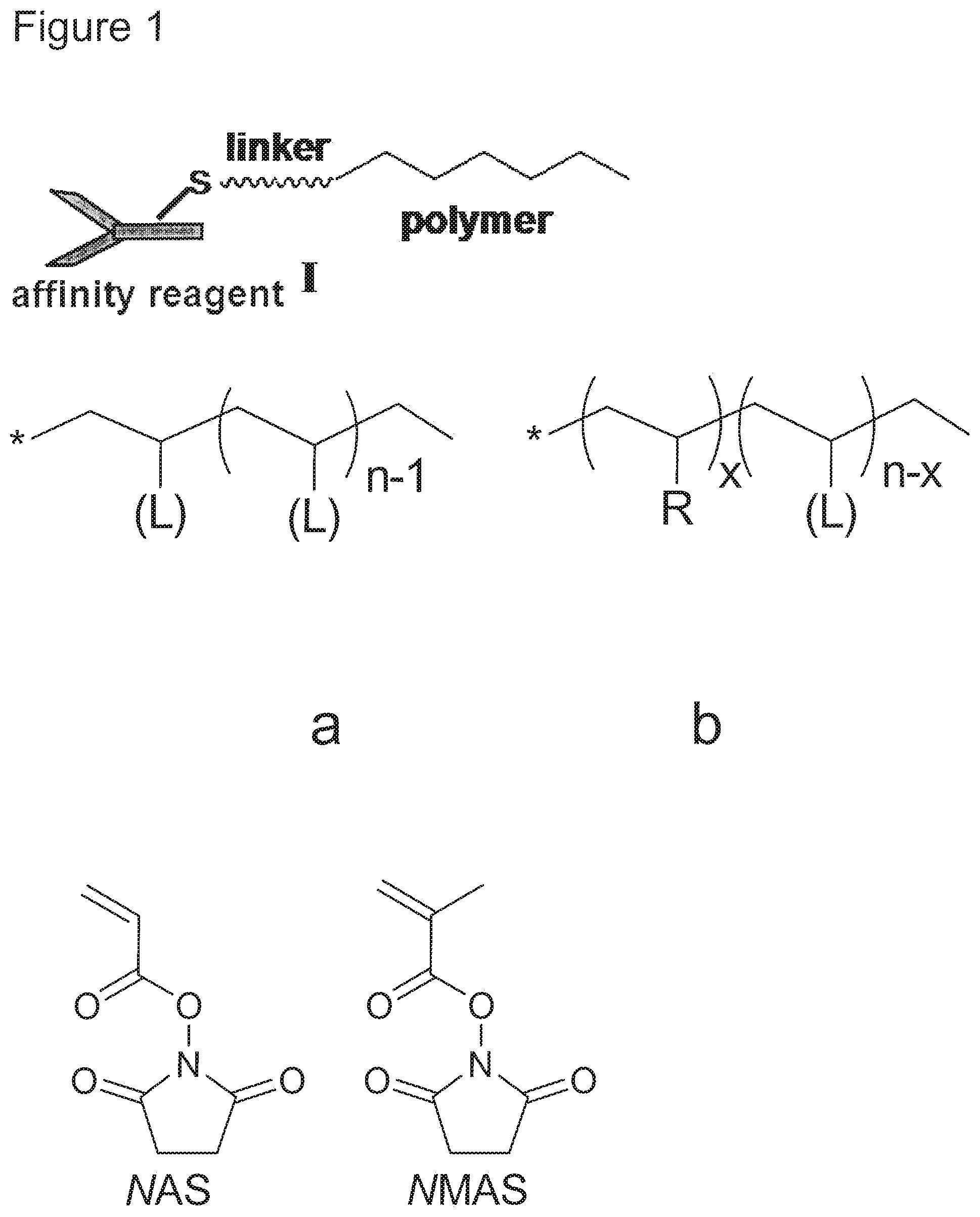 Patent US12103996 — Polymer backbone element tags — Figure 1