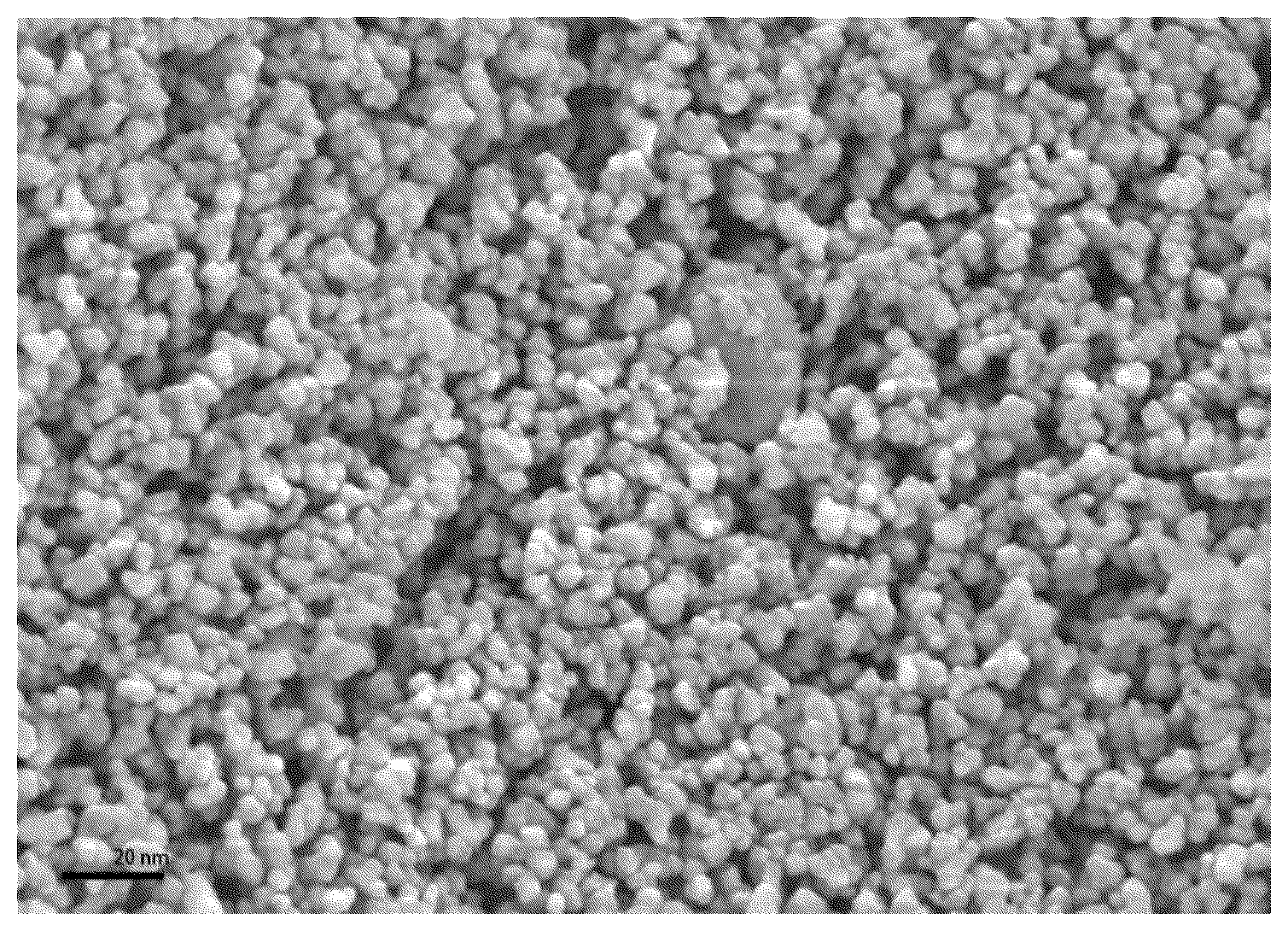 Patent US12104031 — Methods of modifying surface of film with inverse miniemulsion — Figure 1