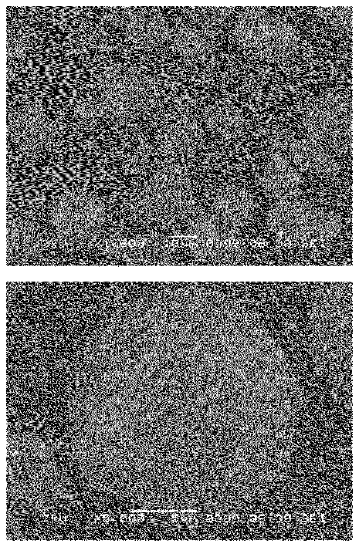 Patent US12104041 — Biodegradable resin particles and external preparation including the same — Figure 1