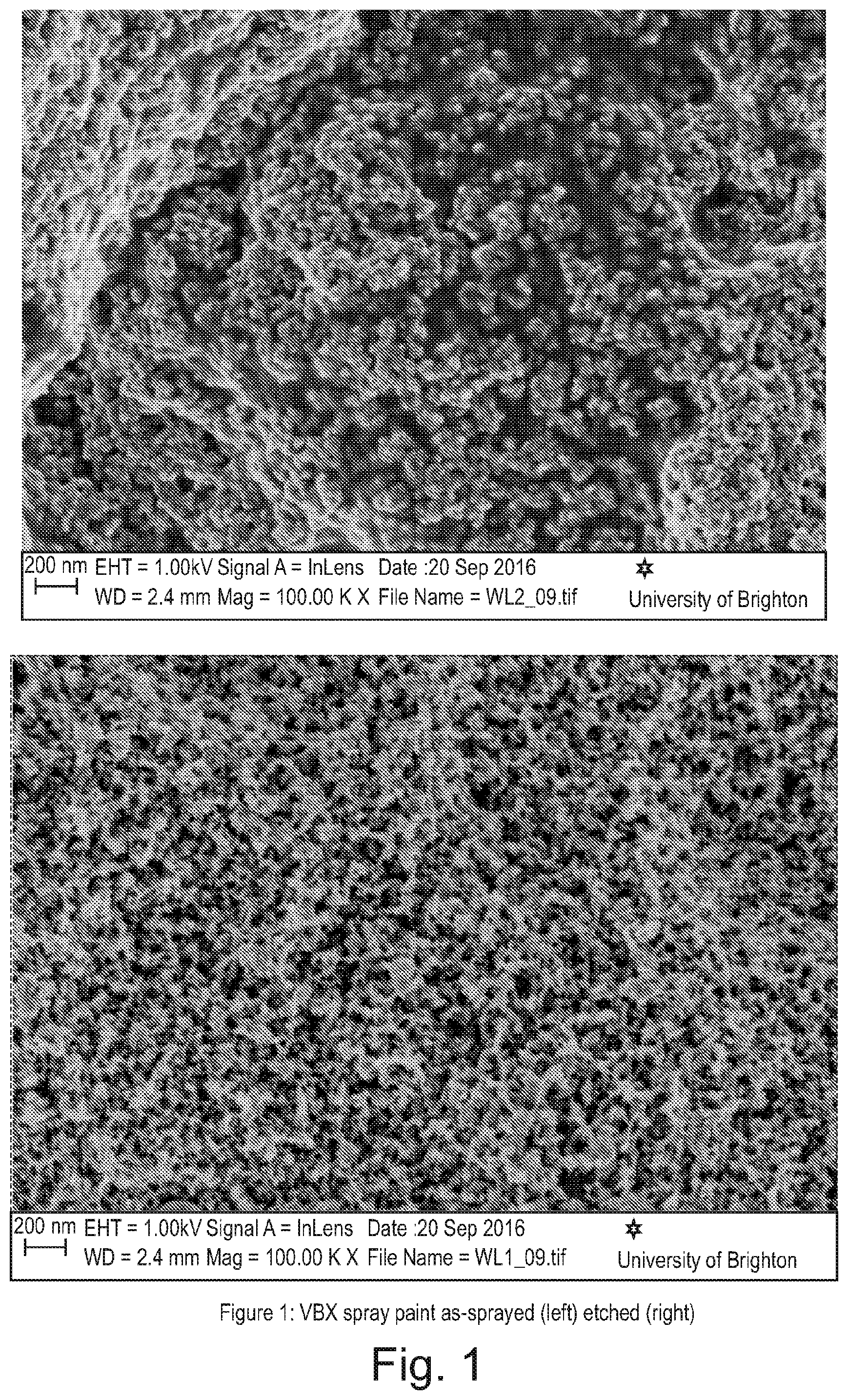 Patent US12104072 — Paint with low light reflectivity — Figure 1