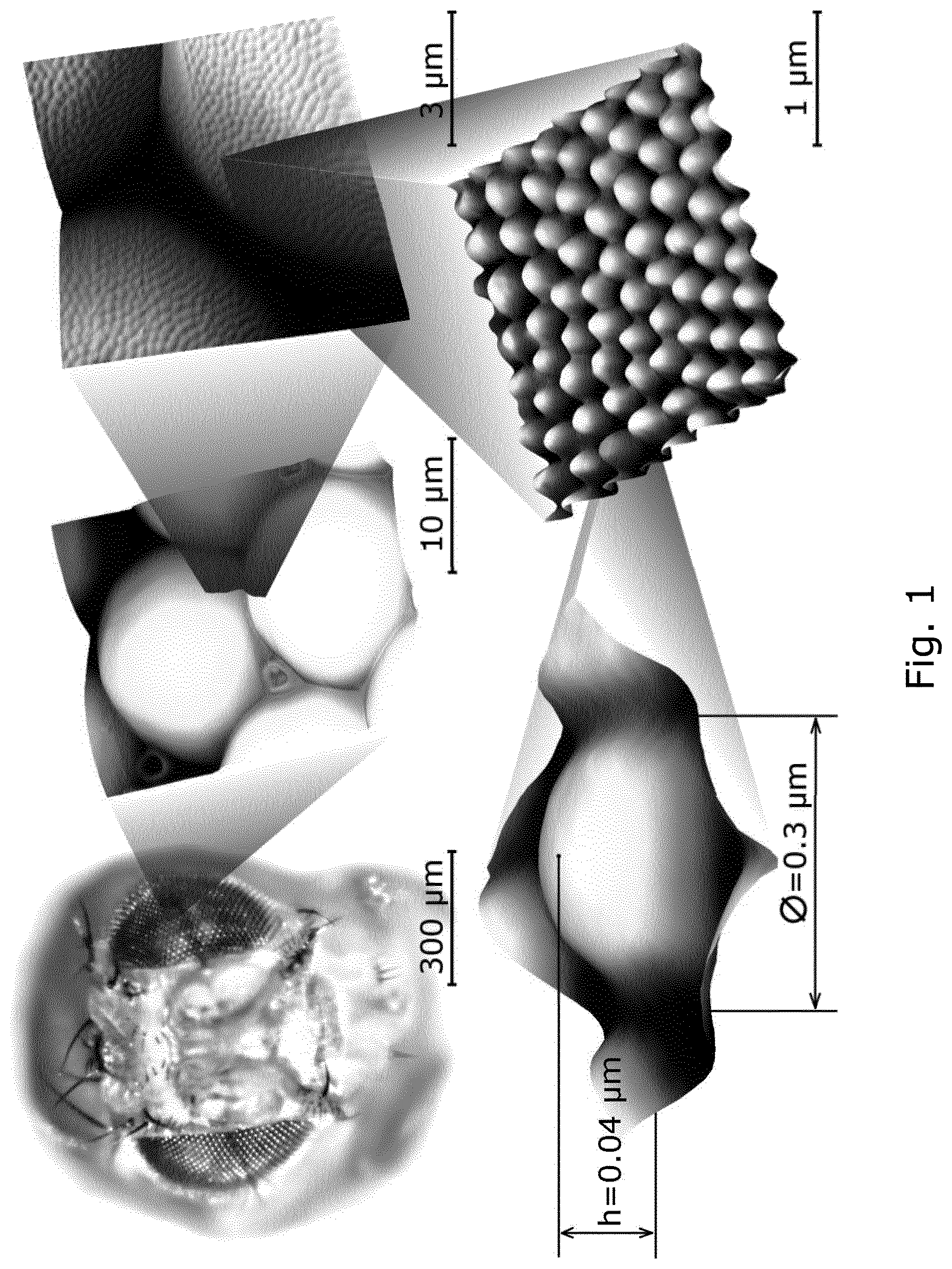 Patent US12104078 — Insect corneal type nanocoatings — Figure 1