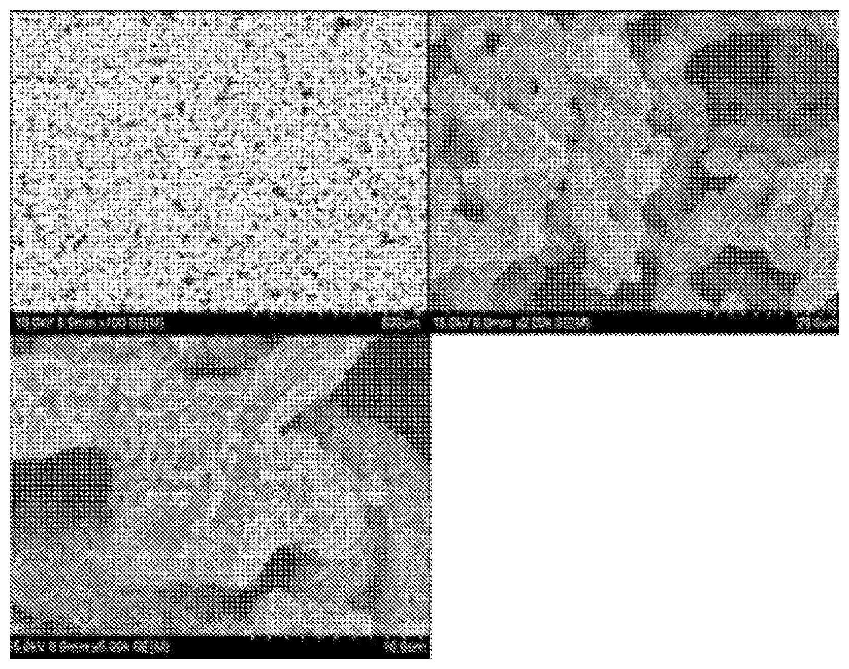 Patent US12104115 — Composite material — Figure 1