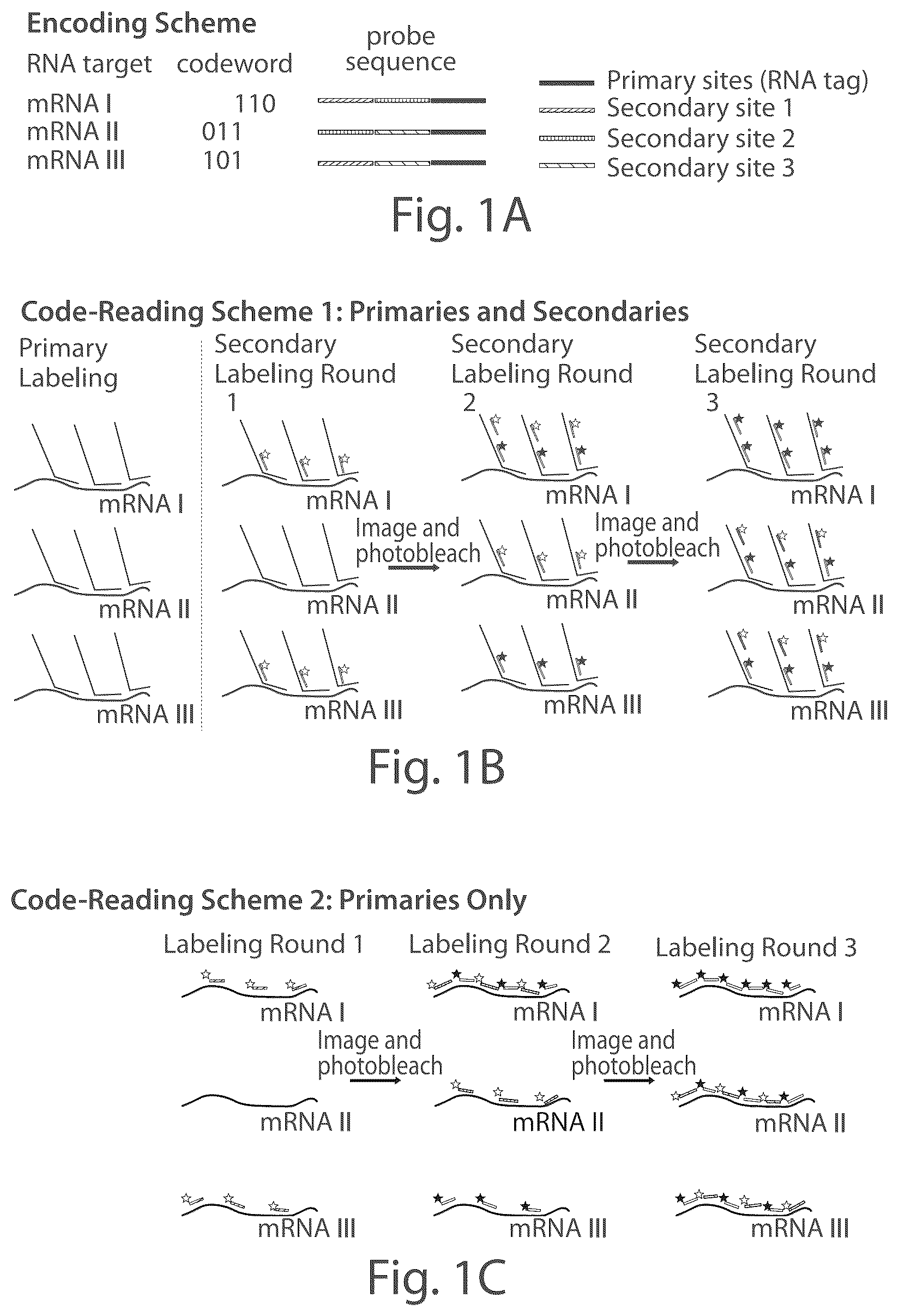 Patent US12104151 Figure 1 – Systems and methods for determining nucleic acids