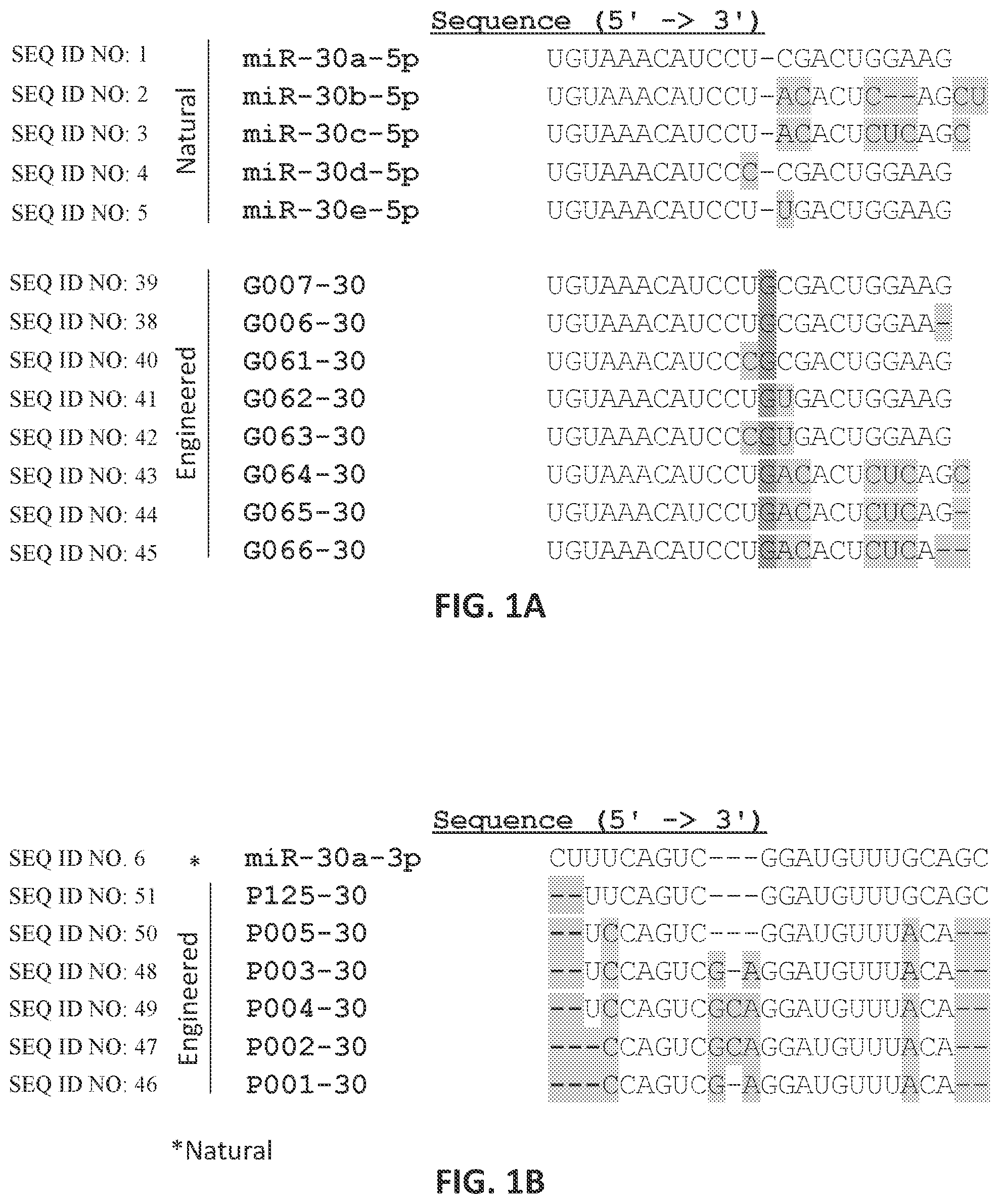 Patent US12104157 — Targeted inhibition using engineered oligonucleotides — Figure 1