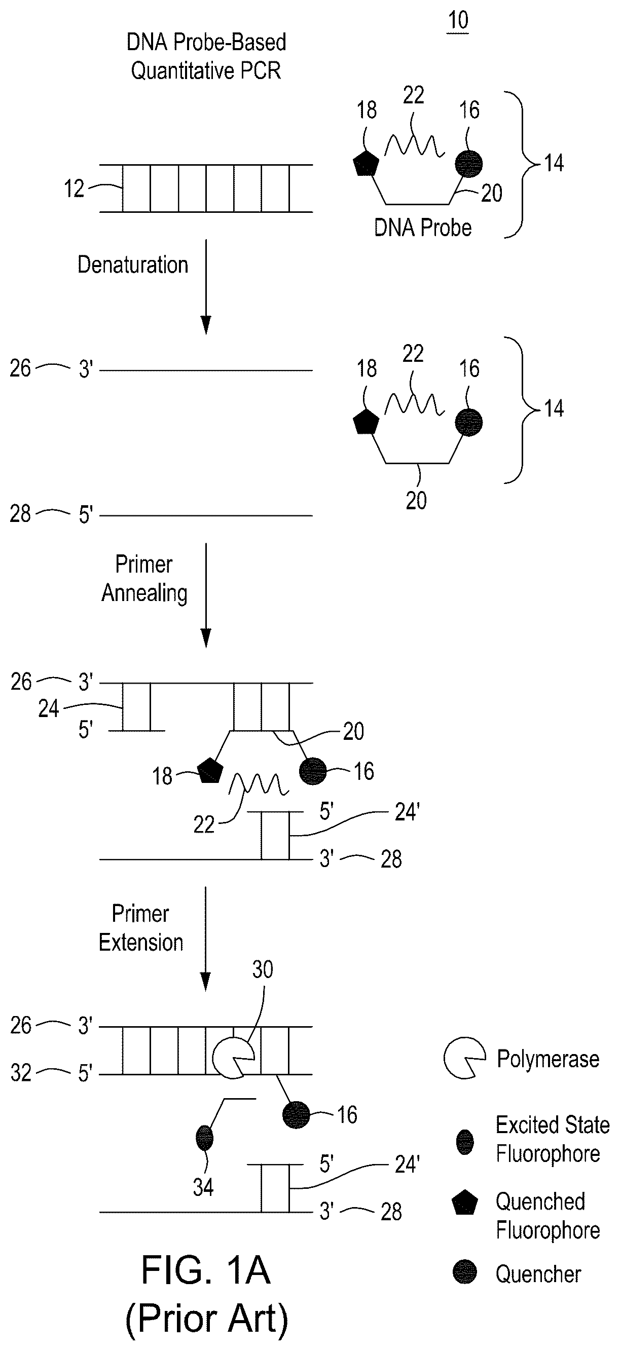 Patent US12104158 — Tuning cascade assay kinetics via molecular design — Figure 1