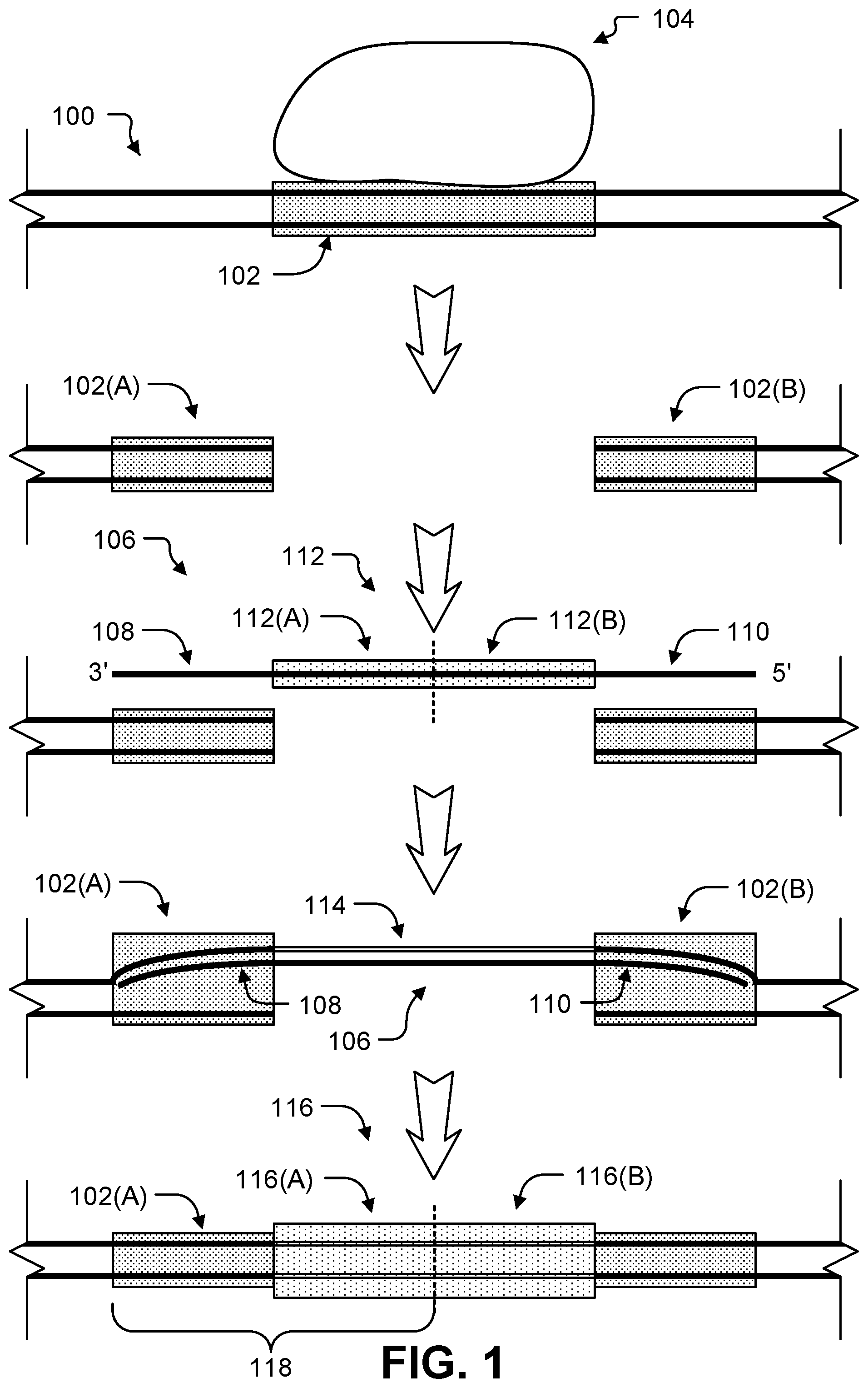 Patent US12104167 — Storage through iterative DNA editing — Figure 1