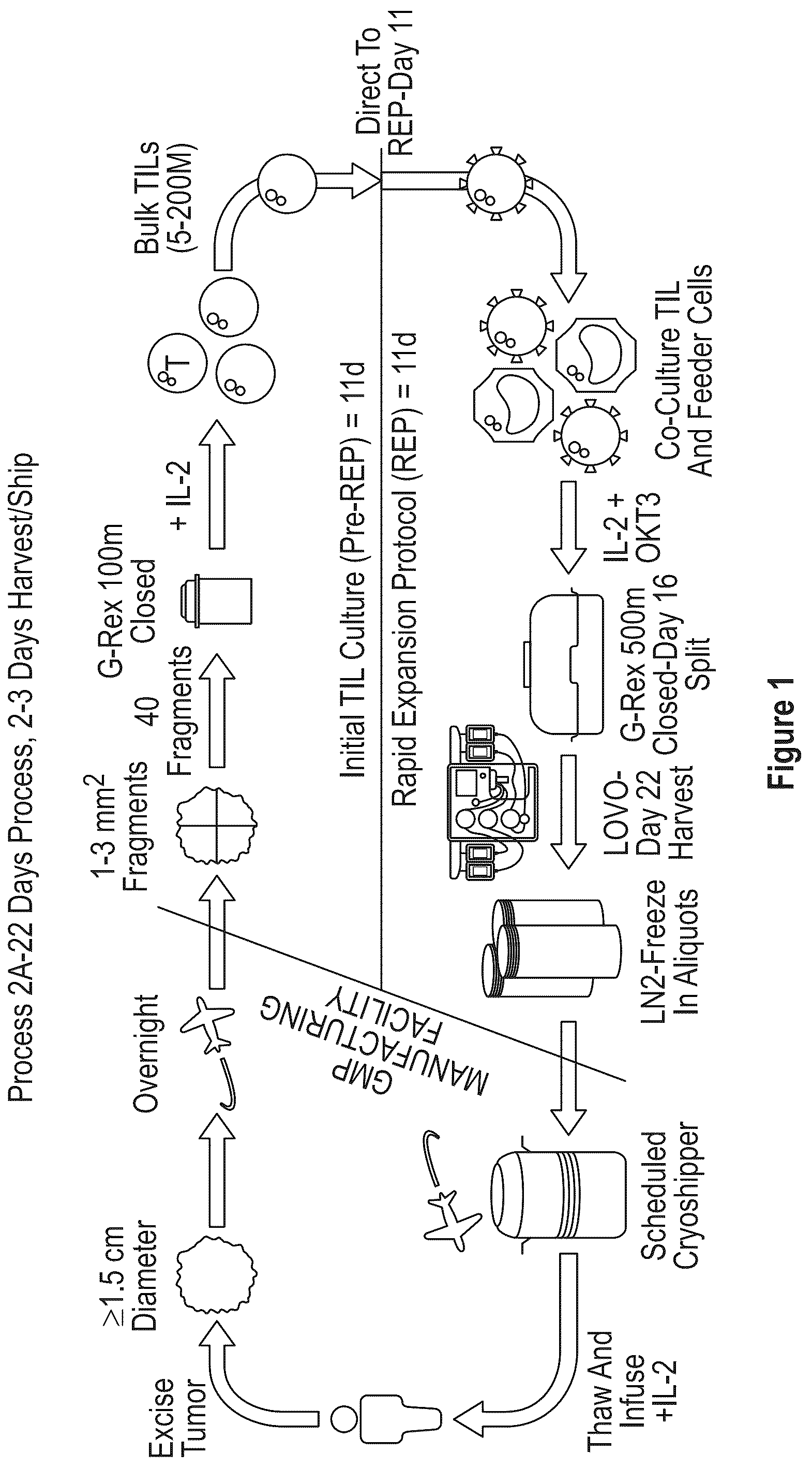 Patent US12104172 — Processes for generating TIL products enriched for tumor antigen-specific t-cells — Figure 1