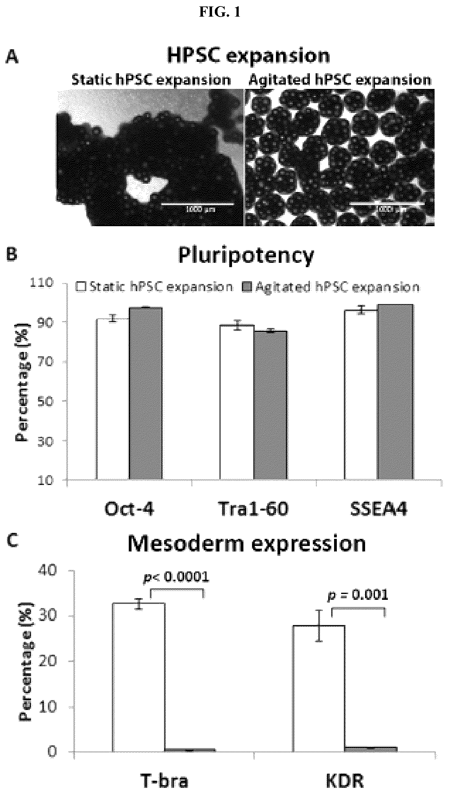 Patent US12104173 — Method for differentiation of human pluripotent stem cell lines in suspension culture — Figure 1