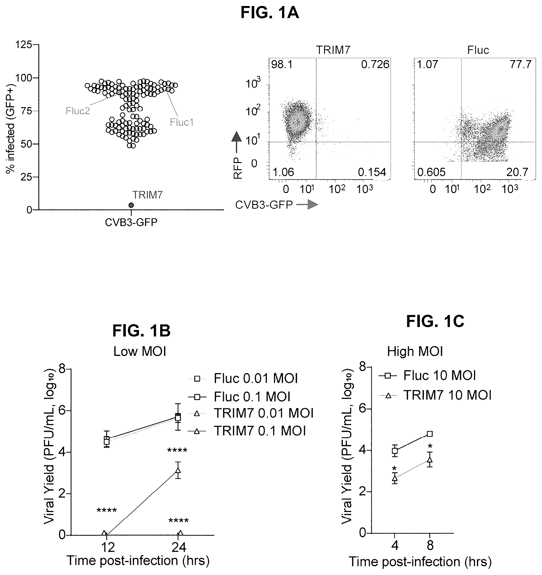 Patent US12104181 — Compositions and methods for treating viral infections targeting TRIM7 — Figure 1