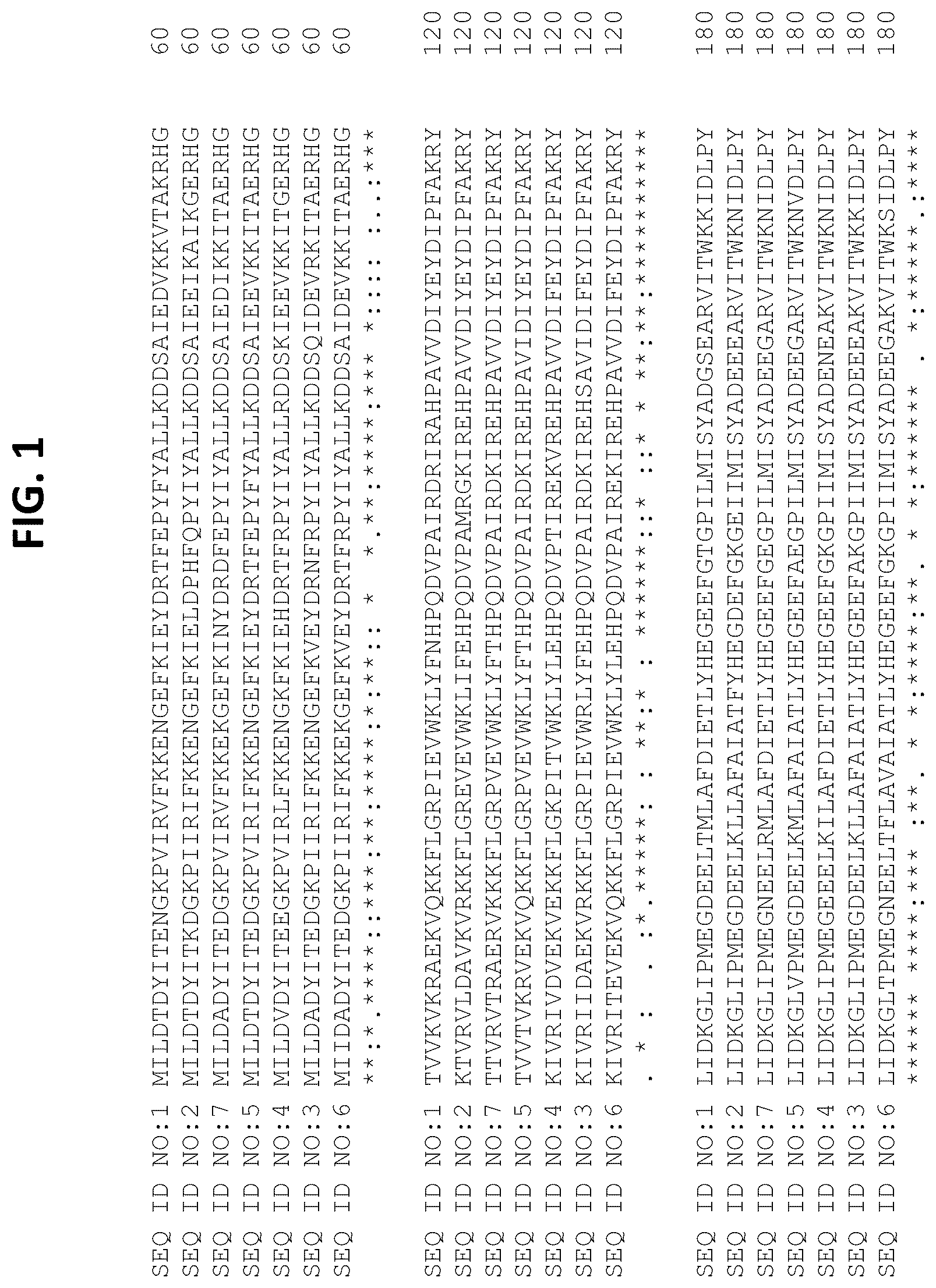 Patent US12104182 — Polymerases, compositions, and methods of use — Figure 1