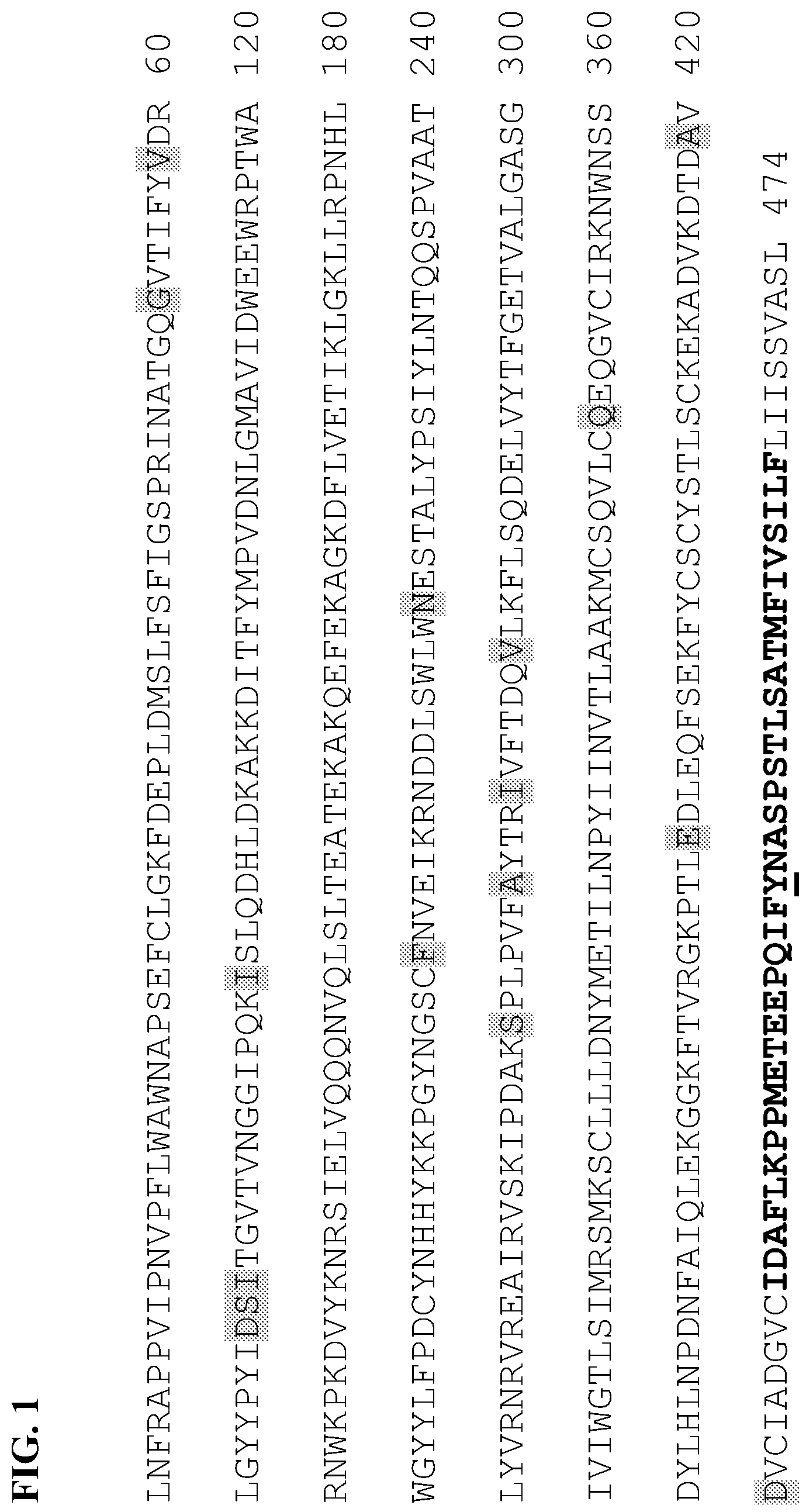 Patent US12104184 — PH20 polypeptide variants, formulations and uses thereof — Figure 1