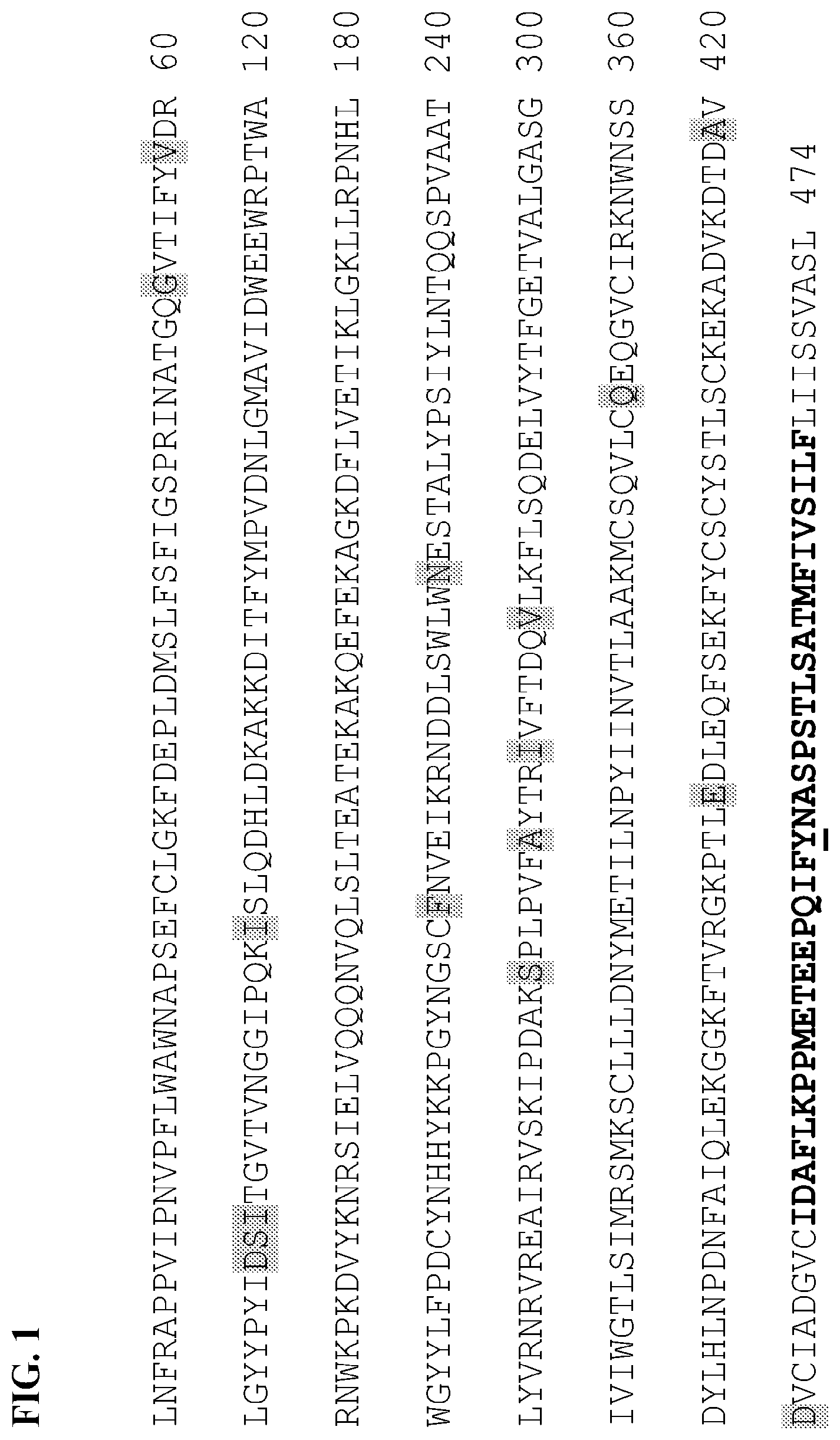 Patent US12104185 — PH20 polypeptide variants, formulations and uses thereof — Figure 1