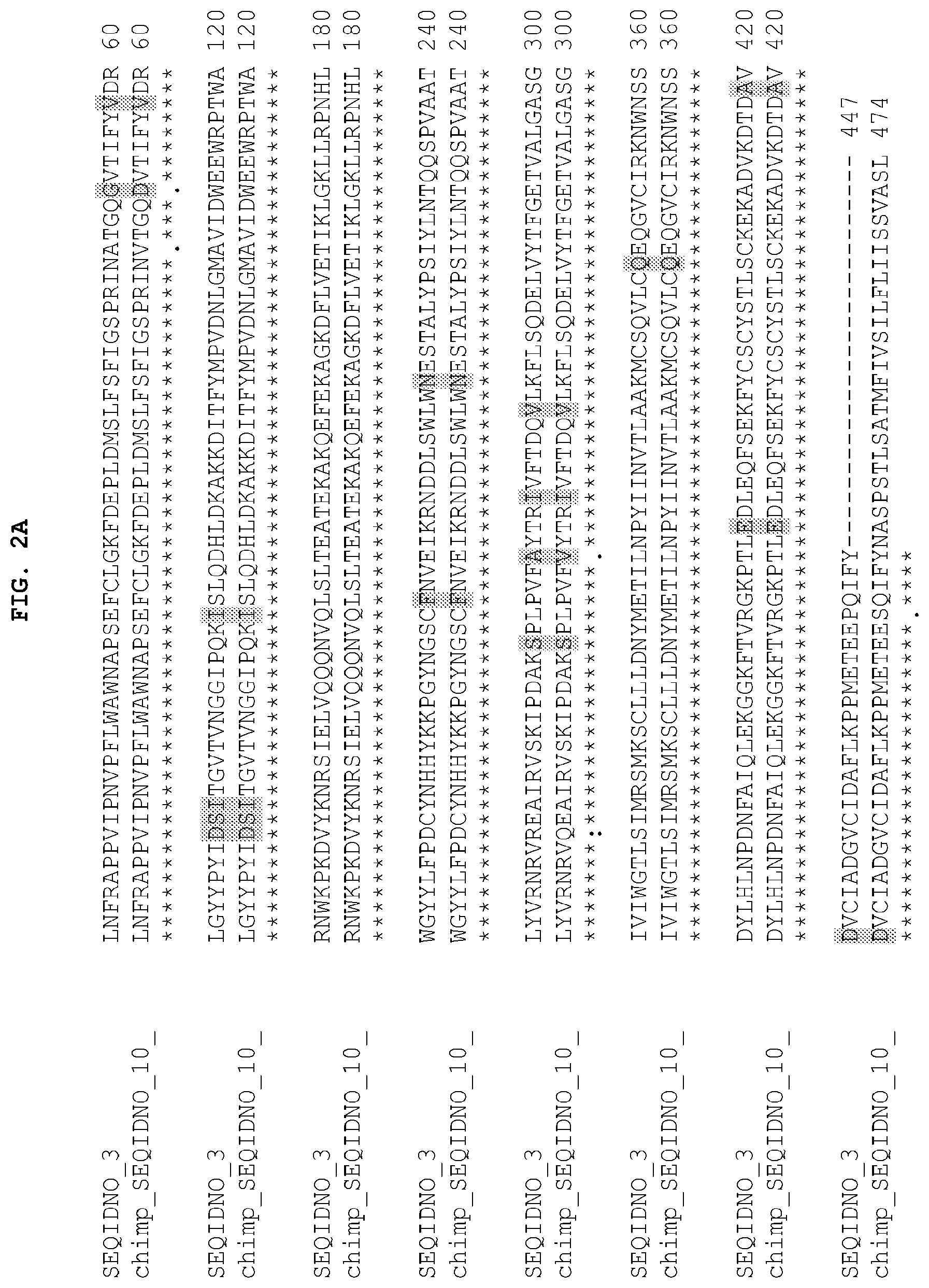 Patent US12104185 Figure 2 – PH20 polypeptide variants, formulations and uses thereof