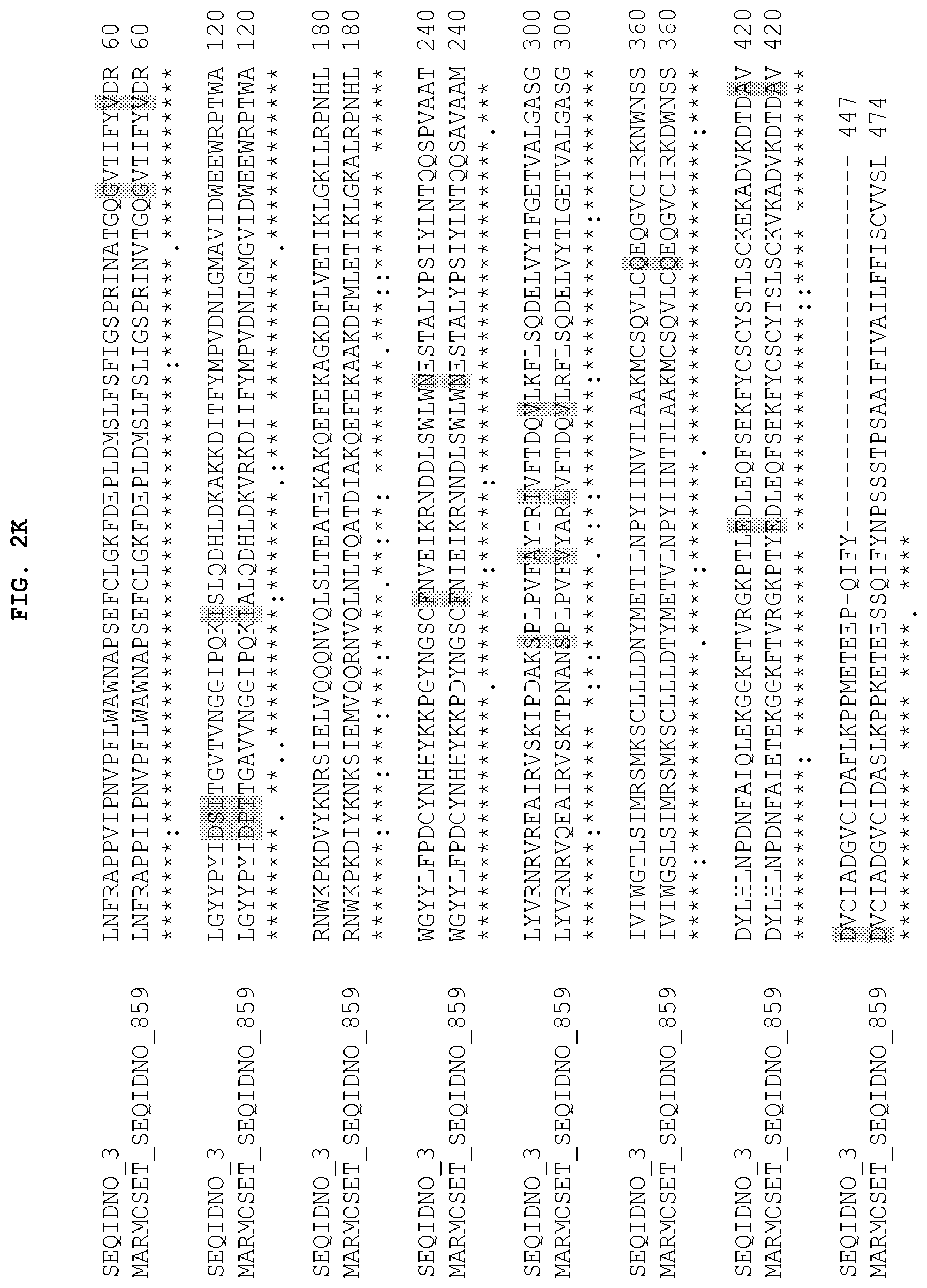 Patent US12104185 Figure 12 – PH20 polypeptide variants, formulations and uses thereof