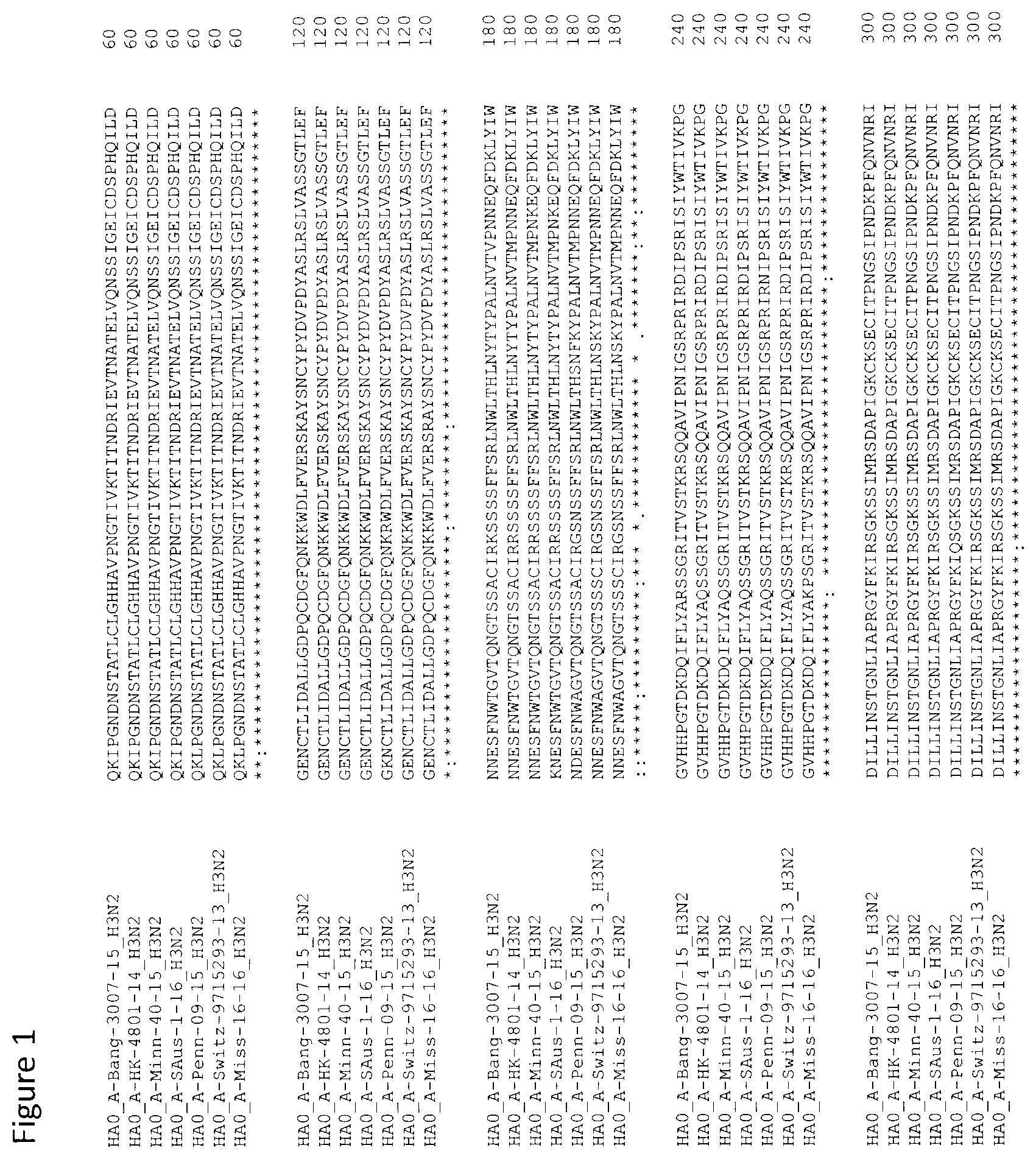 Patent US12104196 — Influenza virus hemagglutinin mutants — Figure 1