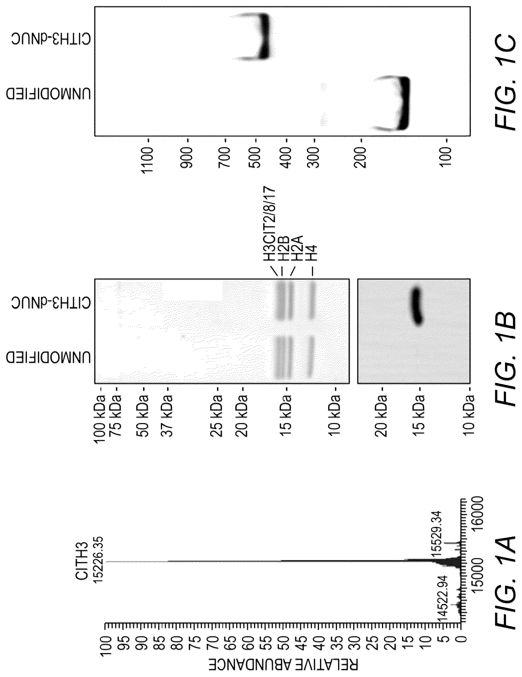 Patent US12104199 — Quantification of nucleosome modifications using chemically-defined recombinant nucleosomes — Figure 1