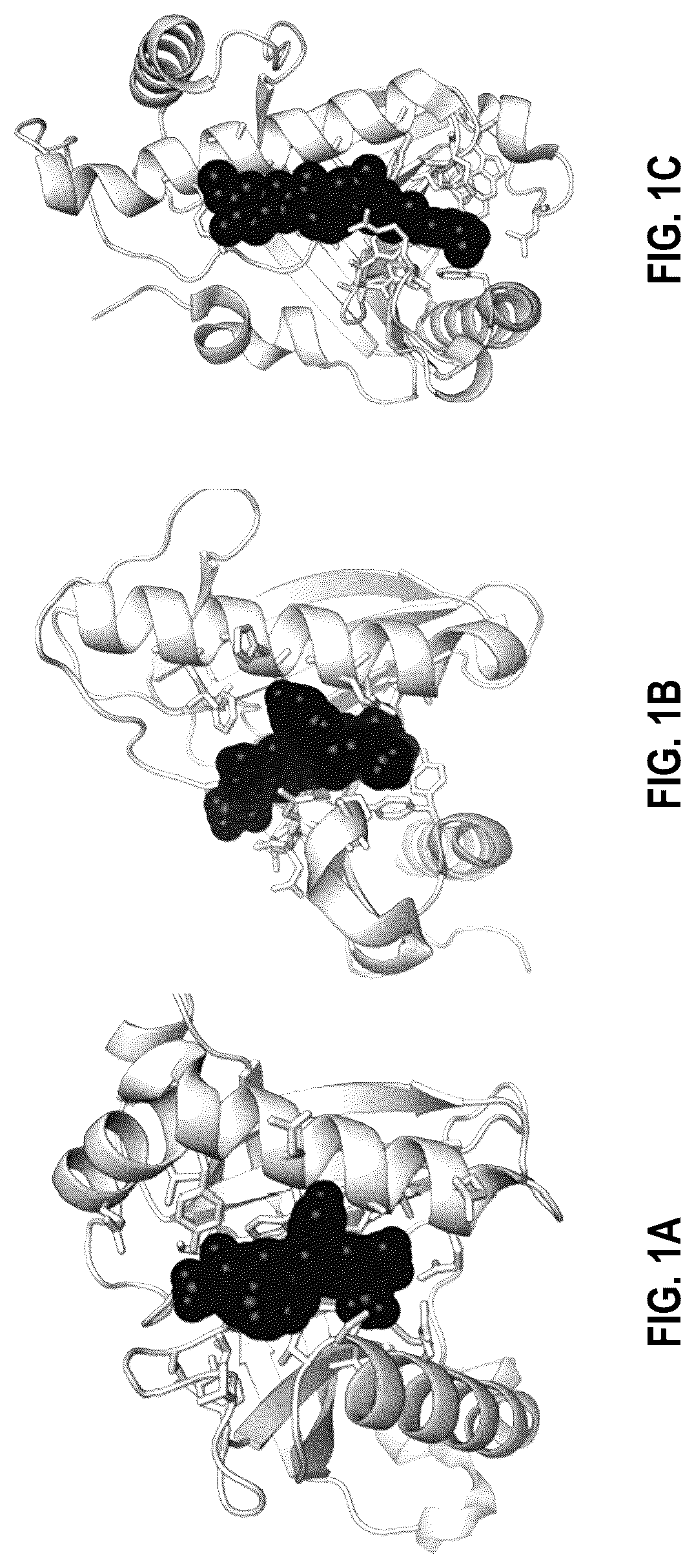 Patent US12104201 — Engineered gyri-like mutein aptamers, and related methods — Figure 1