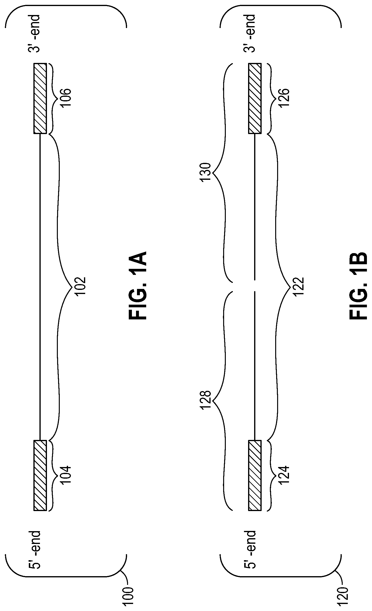 Patent US12104206 Figure 1 – Method of direct target sequencing using nuclease protection