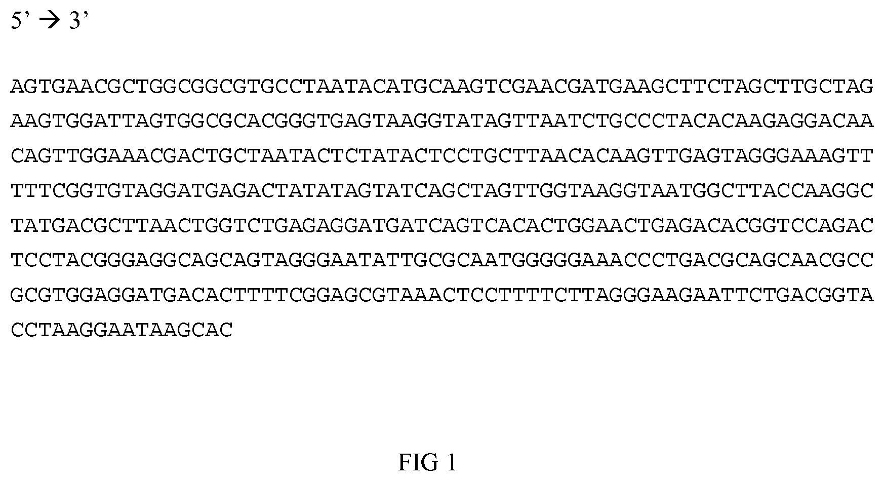 Patent US12104213 — Compositions, kits and methods for detection of campylobacter nucleic acid — Figure 1