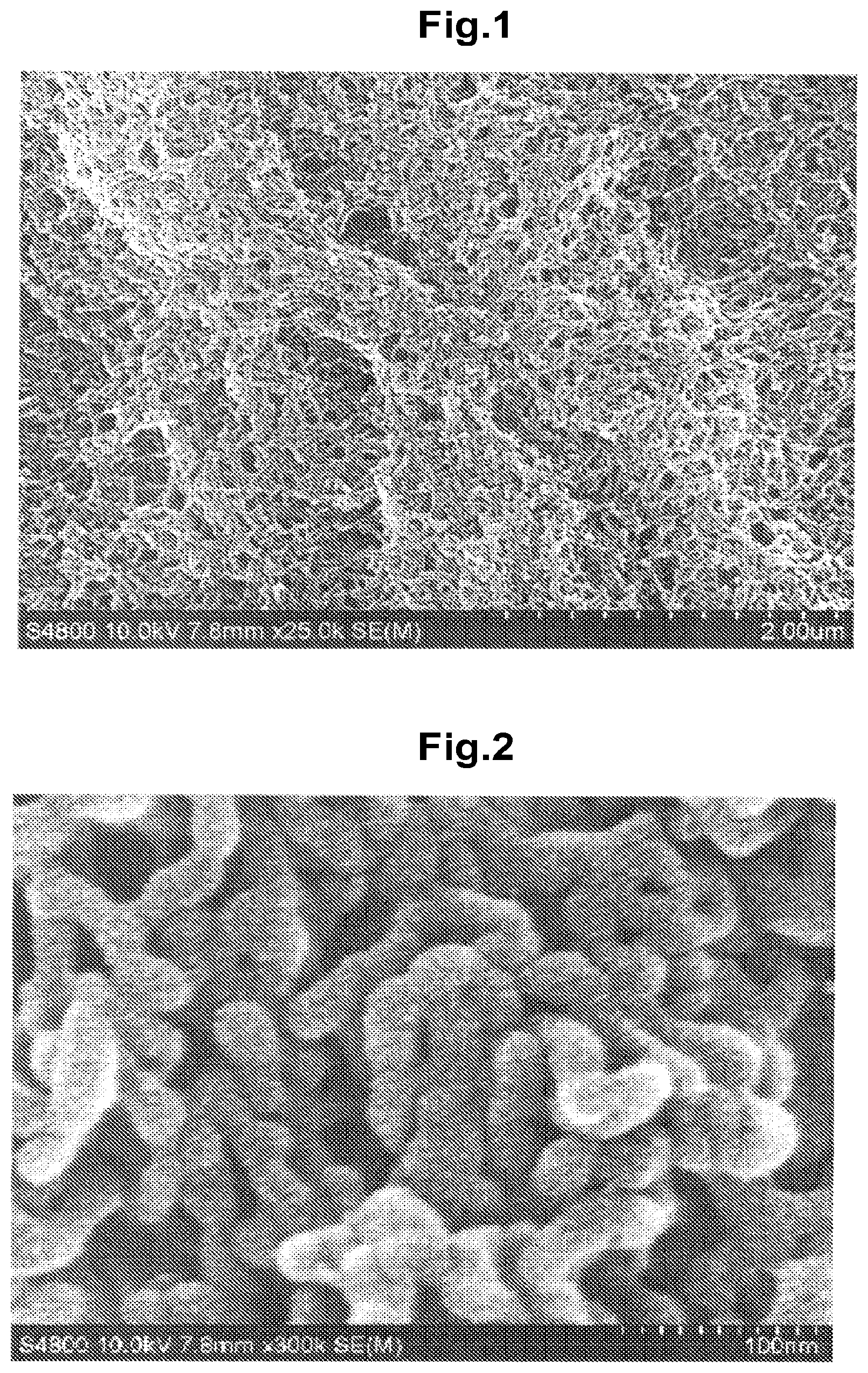 Patent US12104283 Figure 1 – Networked polymeric nanofibers, process for producing same, gas adsorbent, and gas separation material