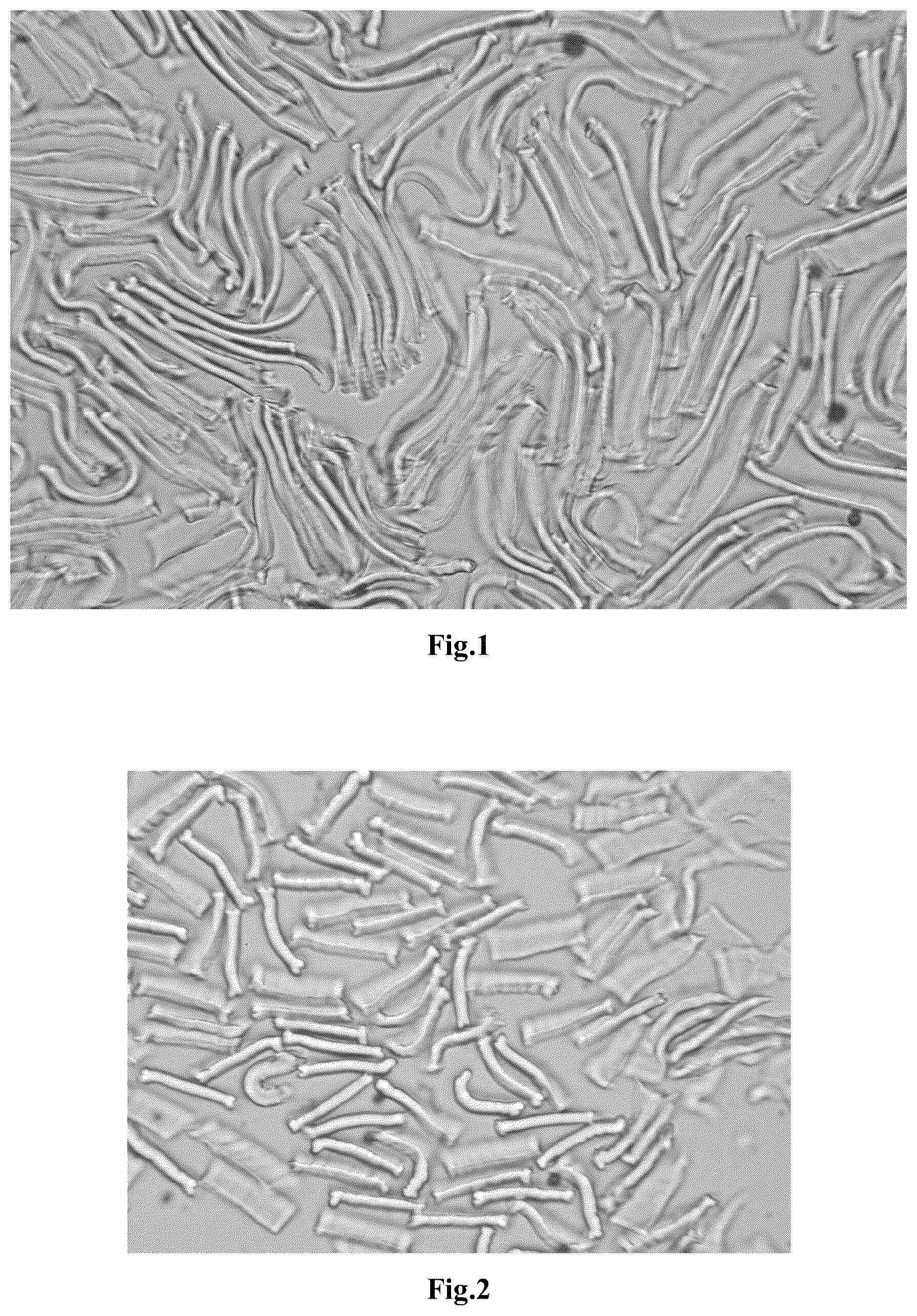 Patent US12104299 — Use of a viscose fiber — Figure 1