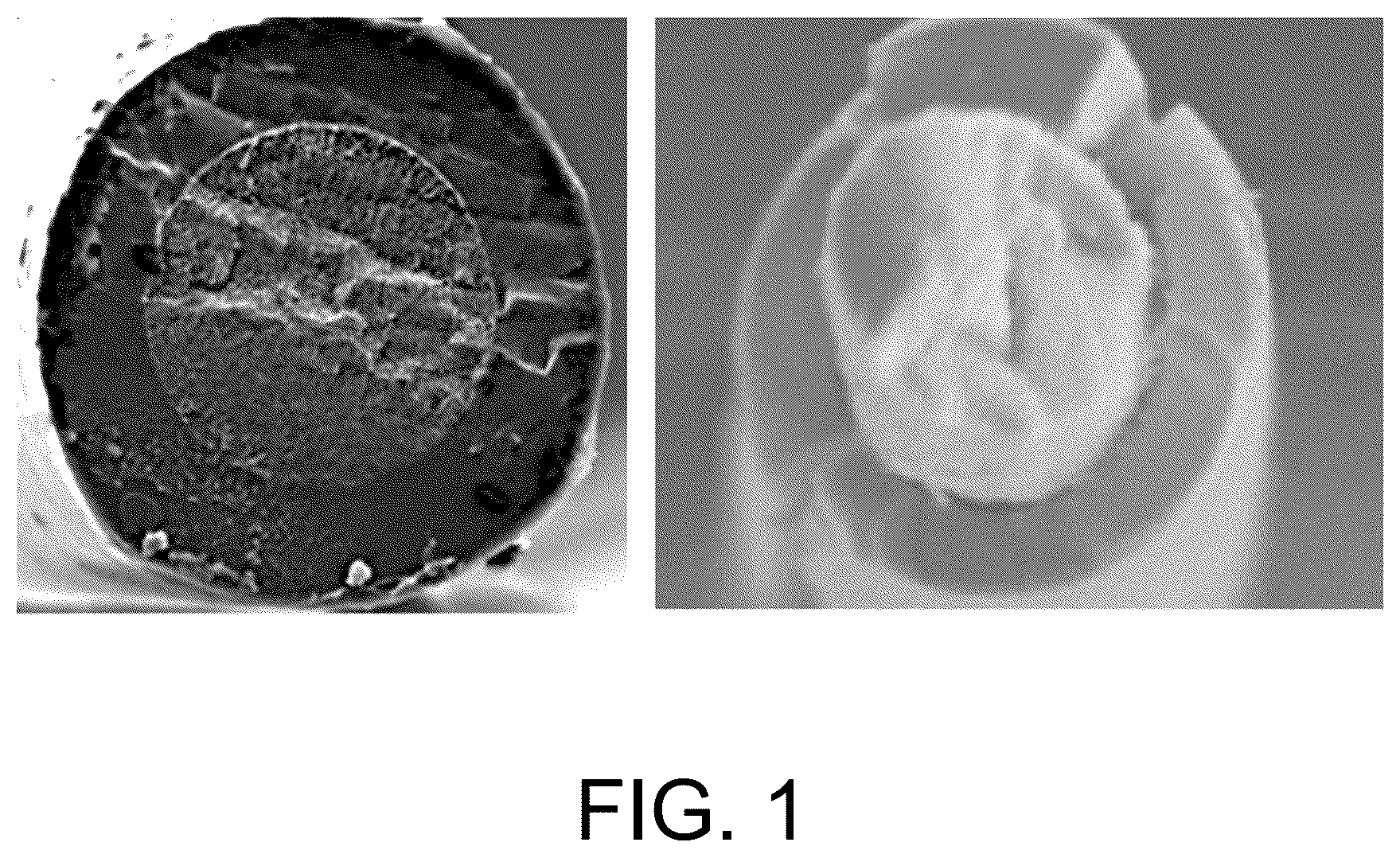 Patent US12104882 — Skin-core structure fibers with both infrared and radar stealth, preparation method therefor, and use thereof — Figure 1