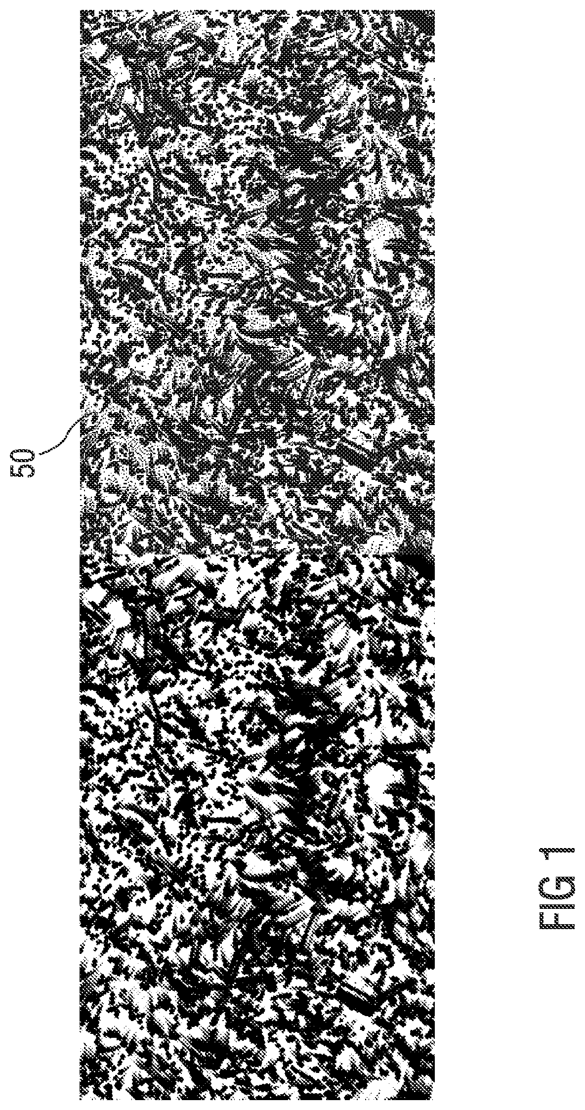 Patent US12104969 Figure 1 – Sensor for detecting pressure and/or filling level and/or flow rate and/or density and/or mass and/or temperature