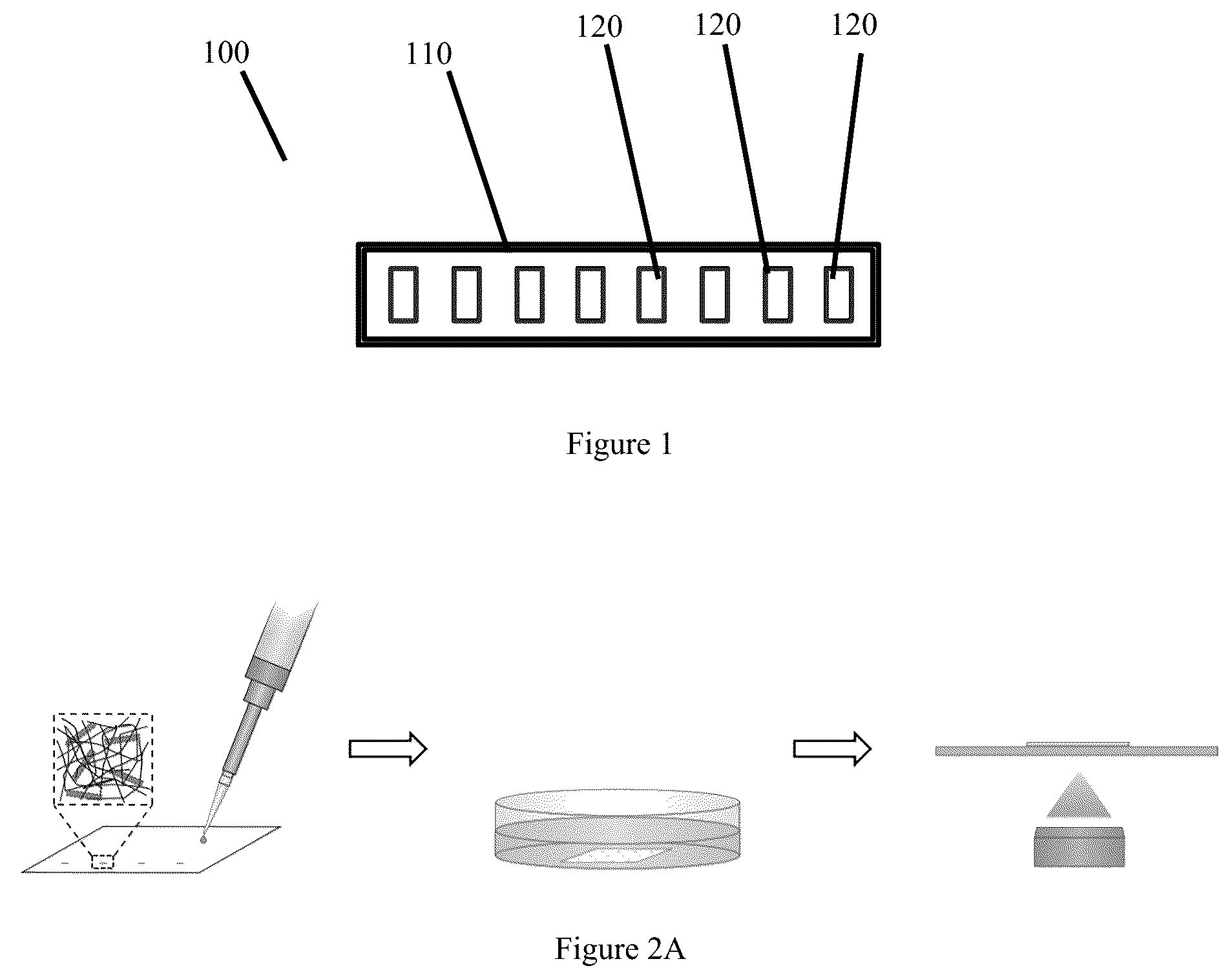 Patent US12105024 — Substrate-immobilized optical nanosensors — Figure 1