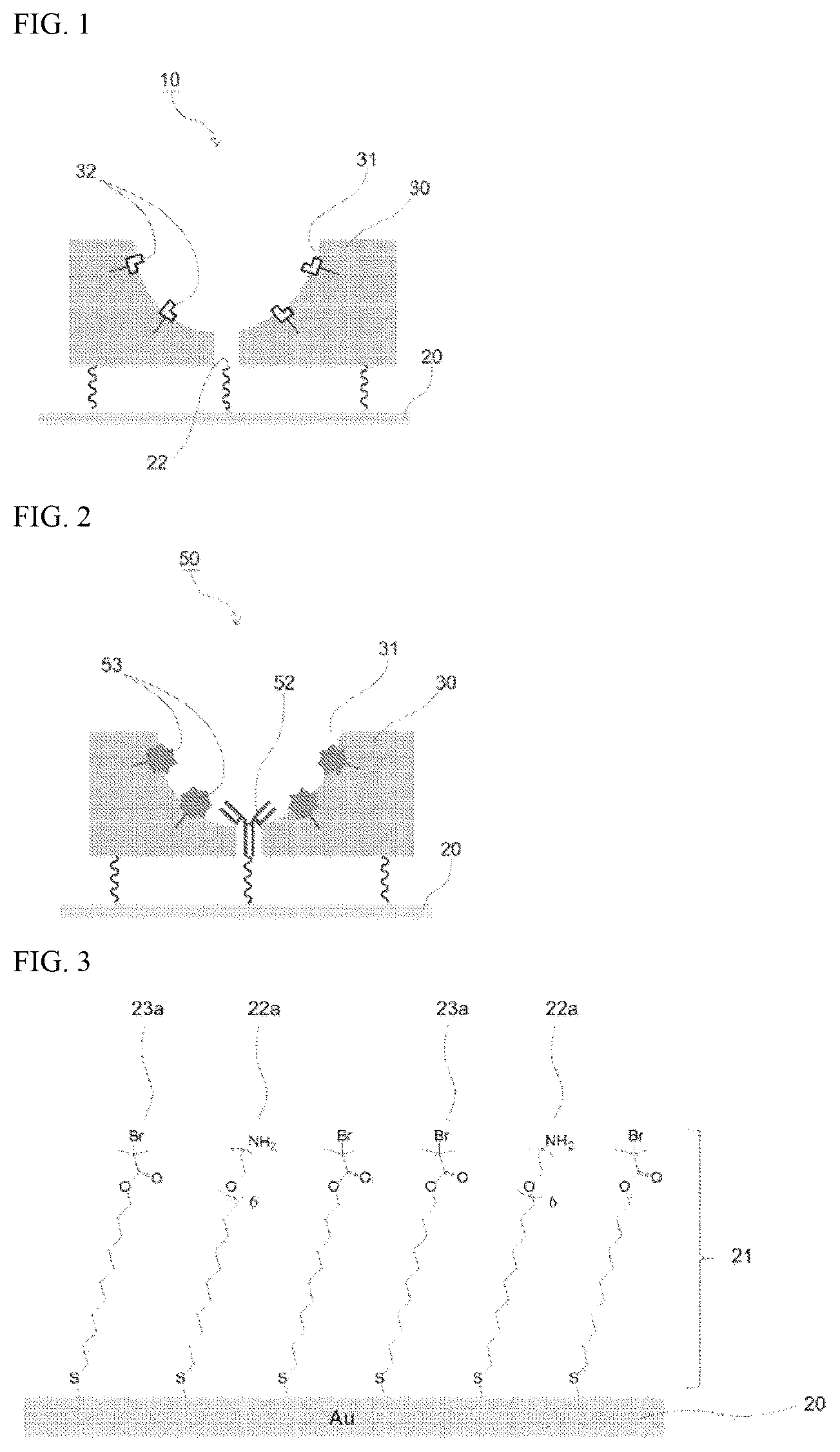 Patent US12105085 — Base material for manufacturing sensor for analyzing detection target, sensor for analyzing detection target, method for analyzing detection target — Figure 1
