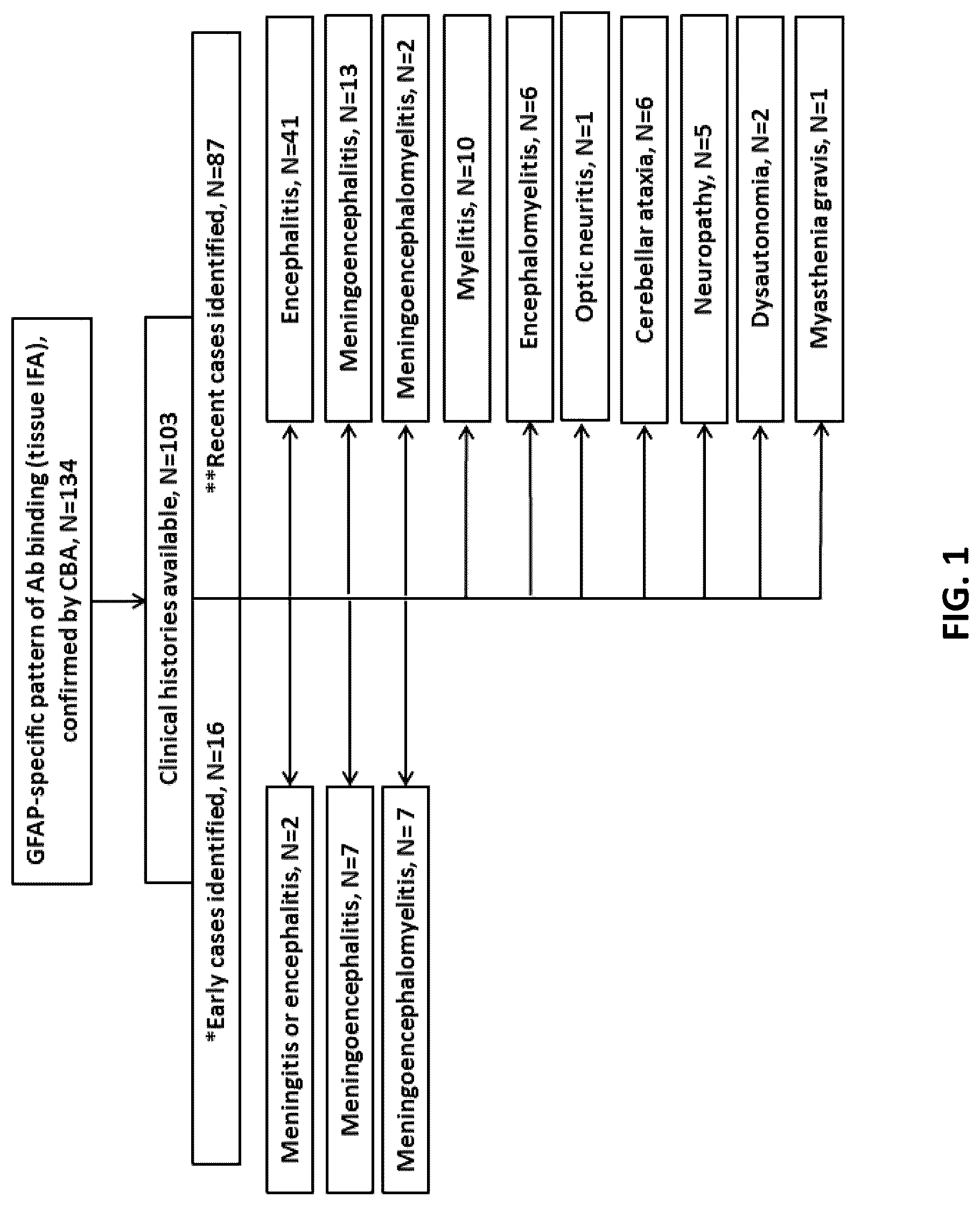 Patent US12105088 — Methods and materials for identifying and treating autoimmune GFAP astrocytopathy — Figure 1