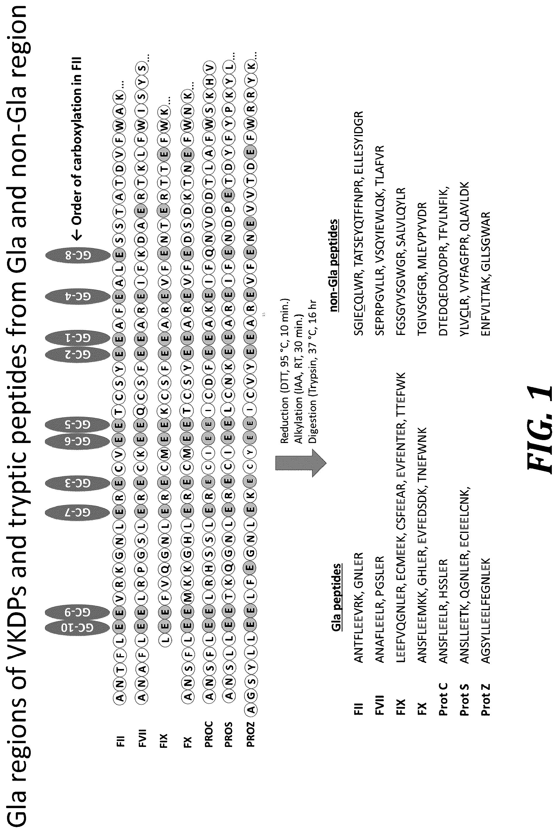 Patent US12105093 — Quantitation of GLA proteins by mass spectrometric analysis — Figure 1