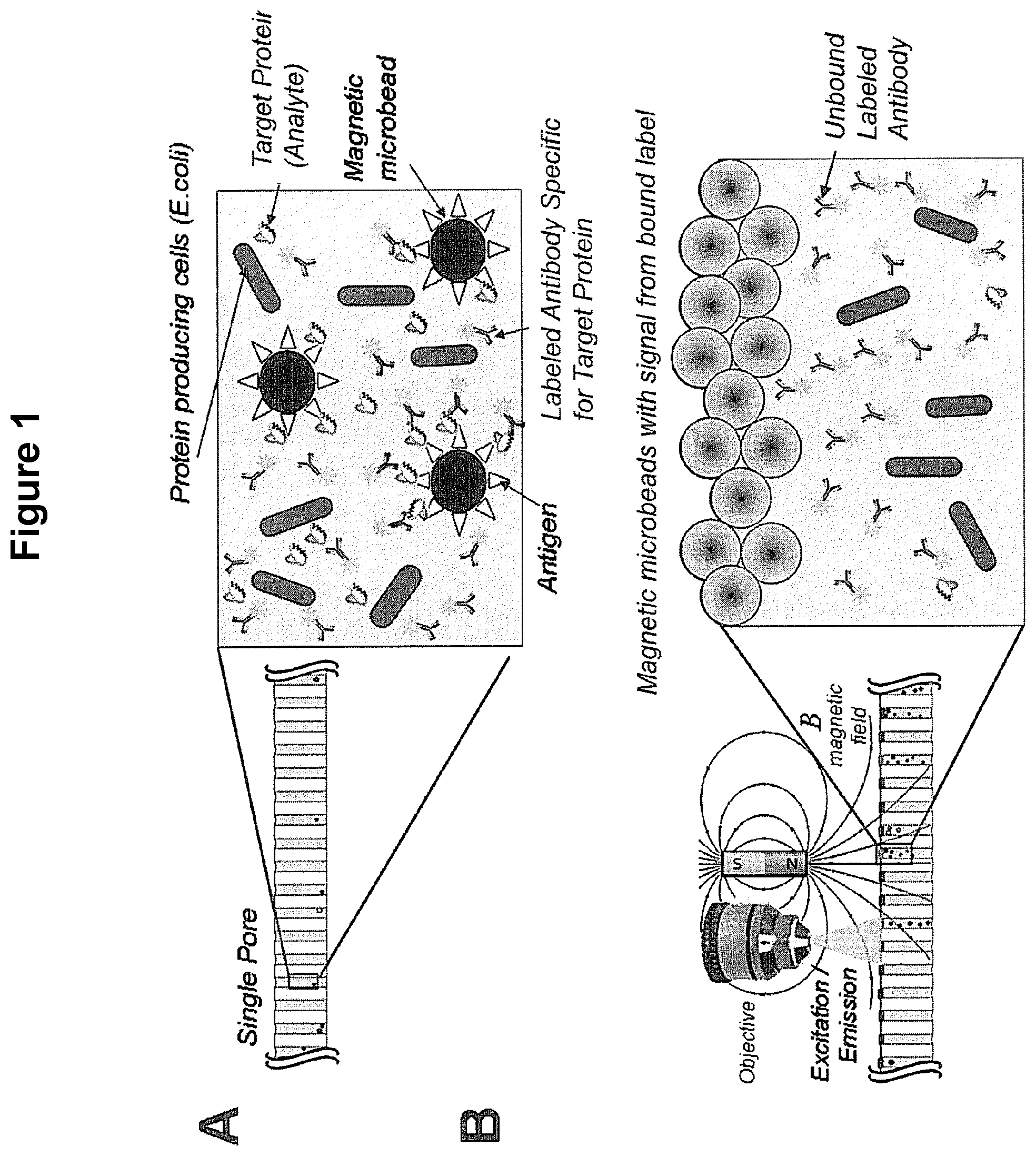 Patent US12105108 — Scalable bio-element analysis — Figure 1