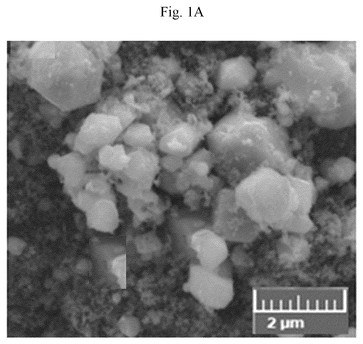Patent US12106902 — Vanadium doped nanocomposite electrode and method of making — Figure 1