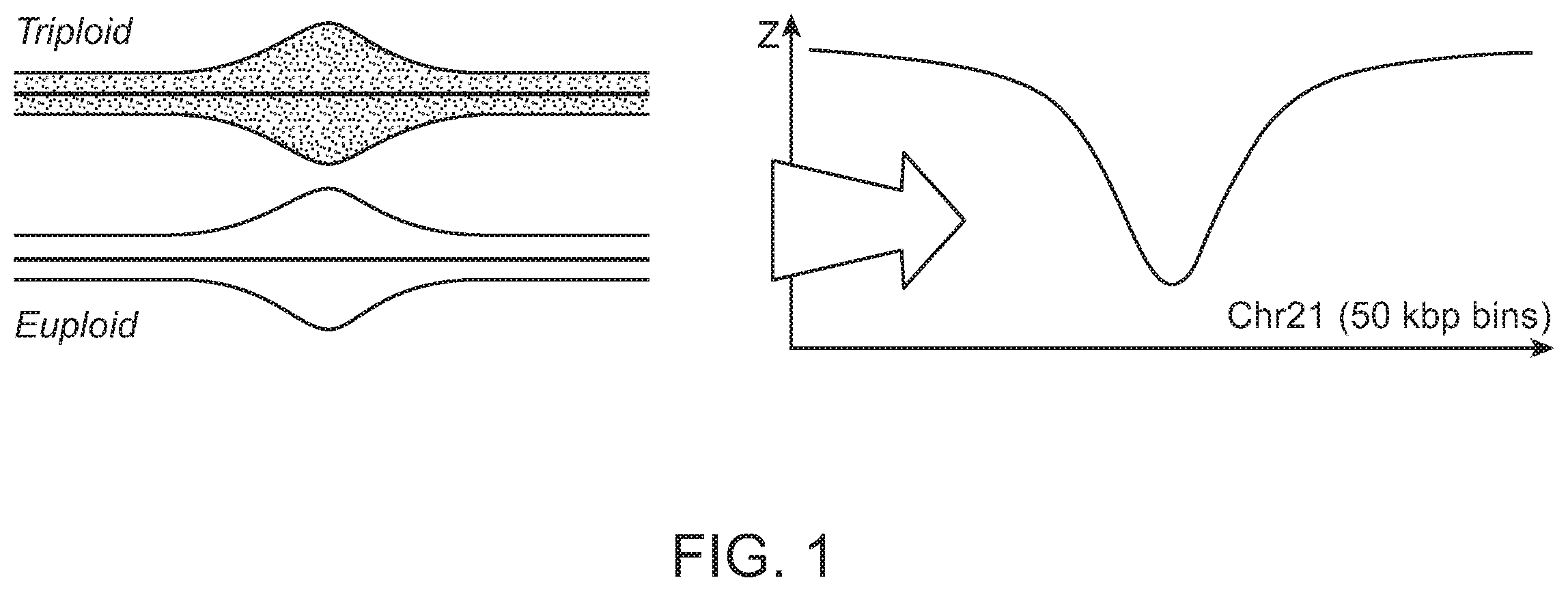 Patent US12112832 — Methods and processes for non-invasive assessment of genetic variations — Figure 1