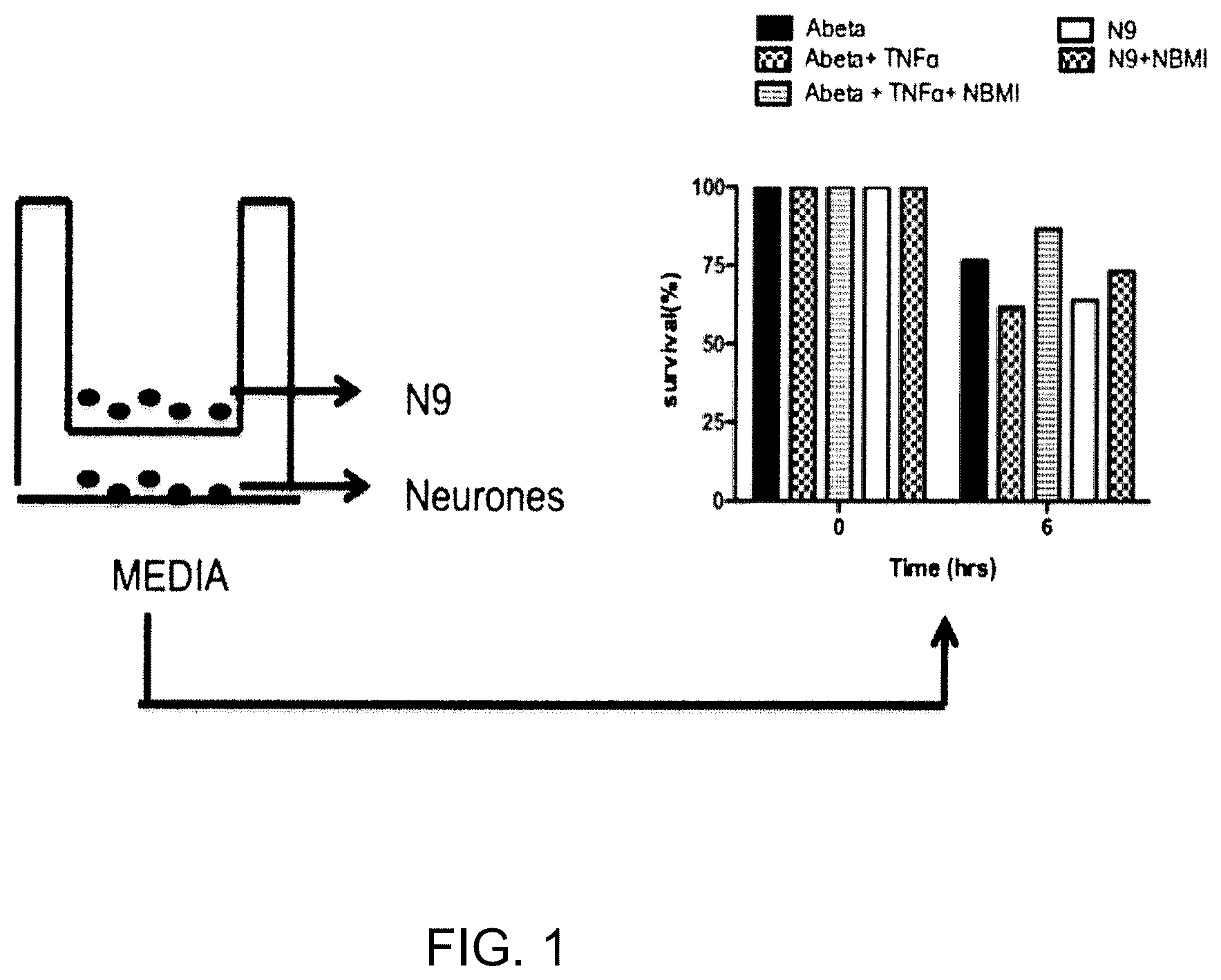 Patent US12128017 — N,N-bis-2-mercaptoethyl isophthalamide for the treatment of neurodegenerative diseases — Figure 1