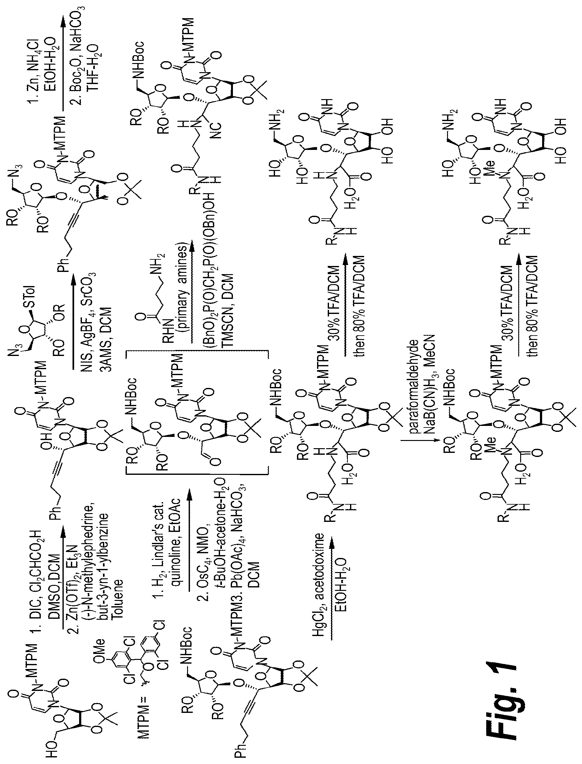 Patent US12129272 — Glycosyltransferase inhibitors — Figure 1