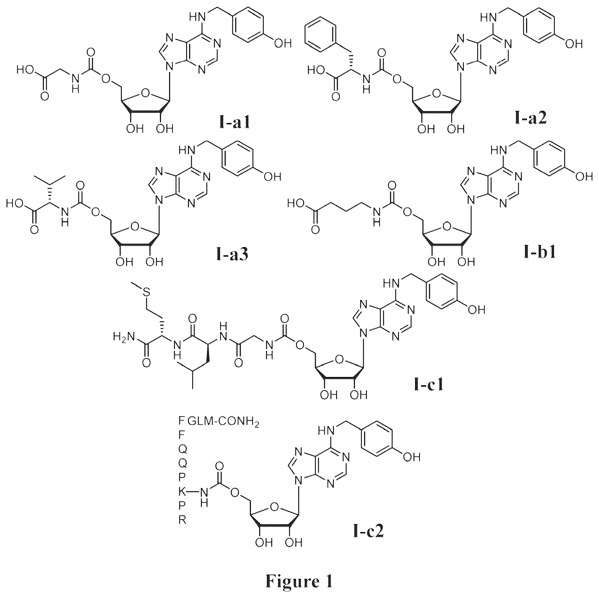Patent US12129273 — Compound with analgesic effect for use in prevention and treatment of pain — Figure 1