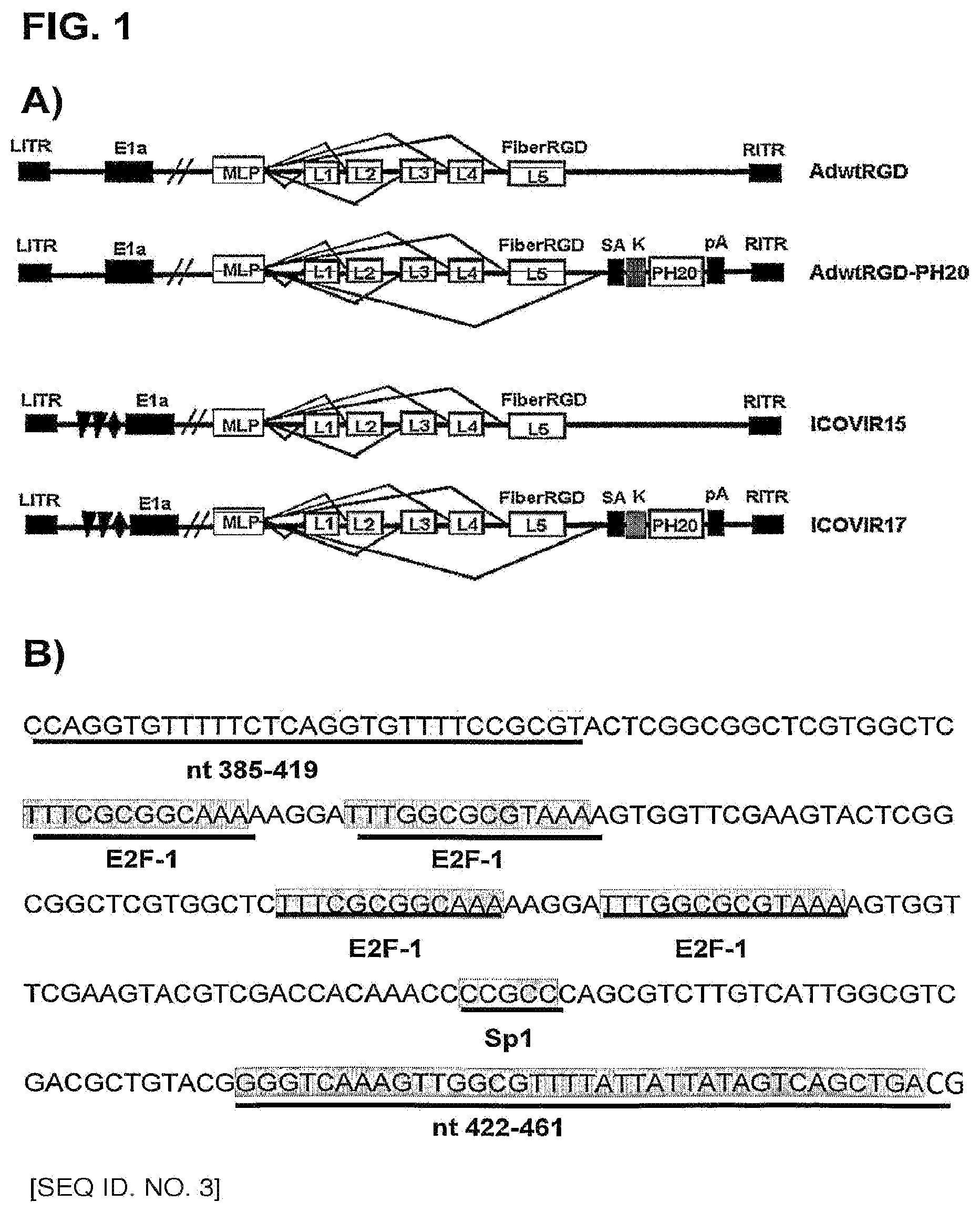 Patent US12129280 Figure 1 – Oncolytic adenoviruses for treating cancer