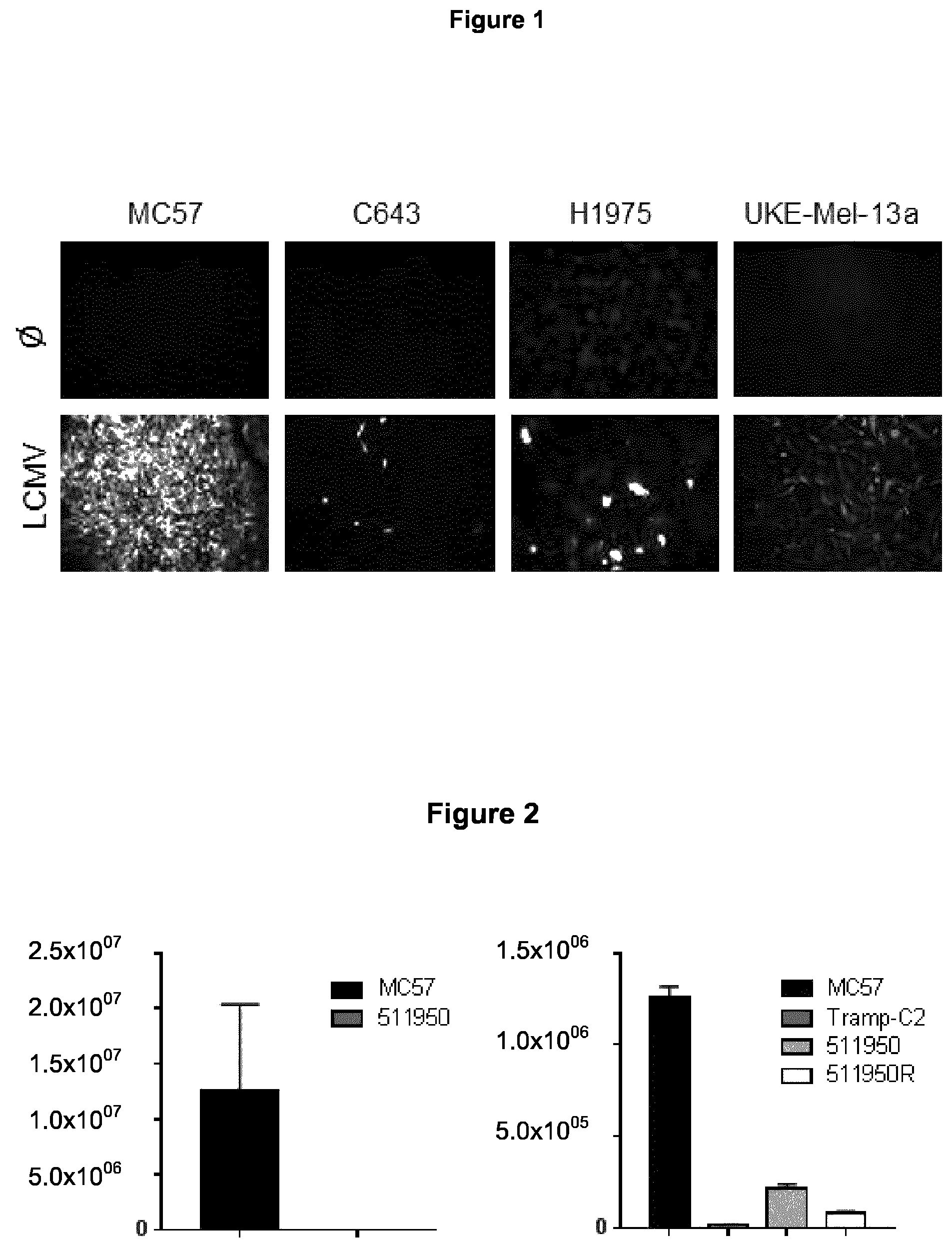 Patent US12129281 — Method for producing an antitumoral arenavirus as well as arenavirus mutants — Figure 1