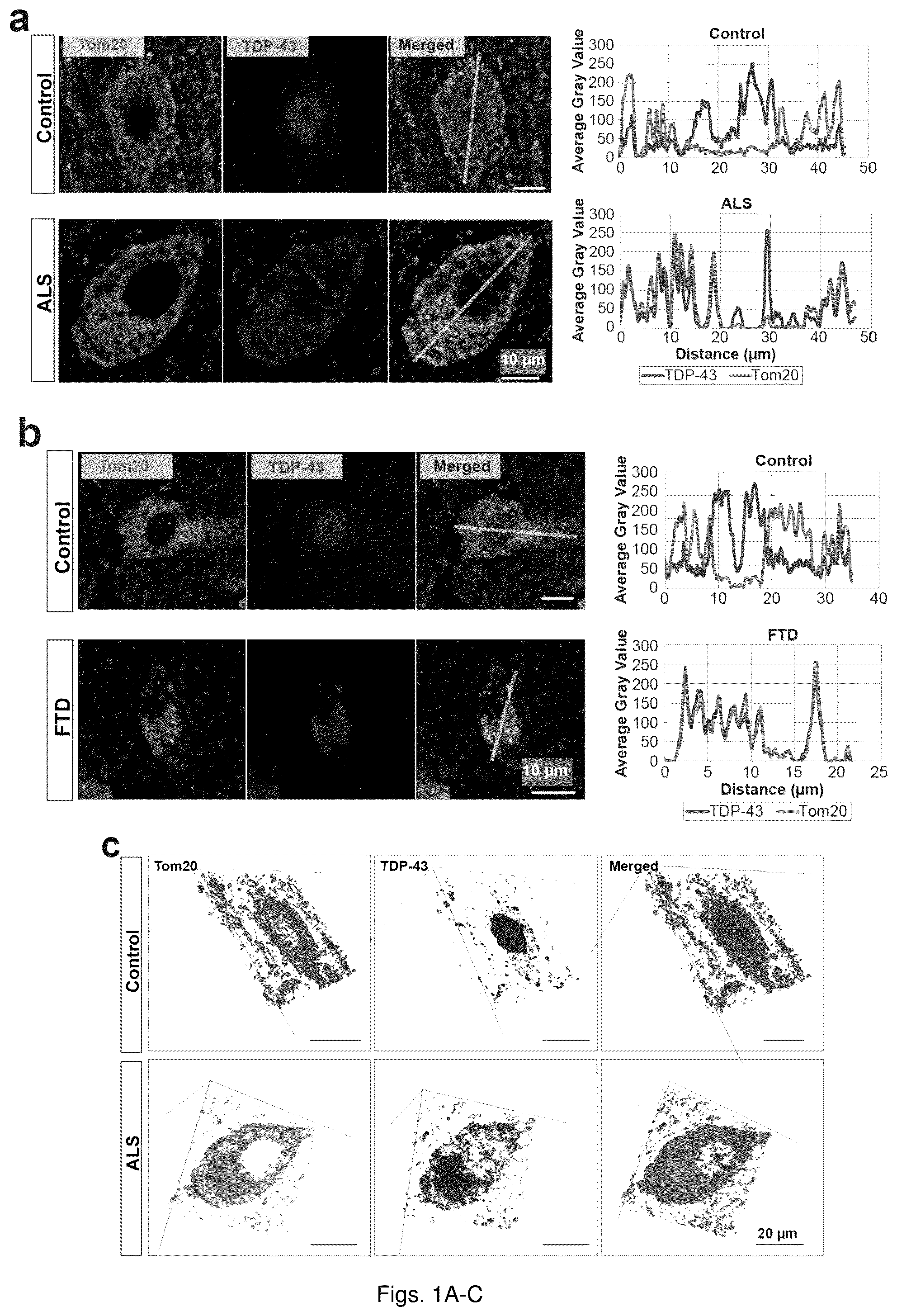Patent US12129285 — TDP-43 mitochondrial localization inhibitor for the treatment of neurogenerative disease — Figure 1