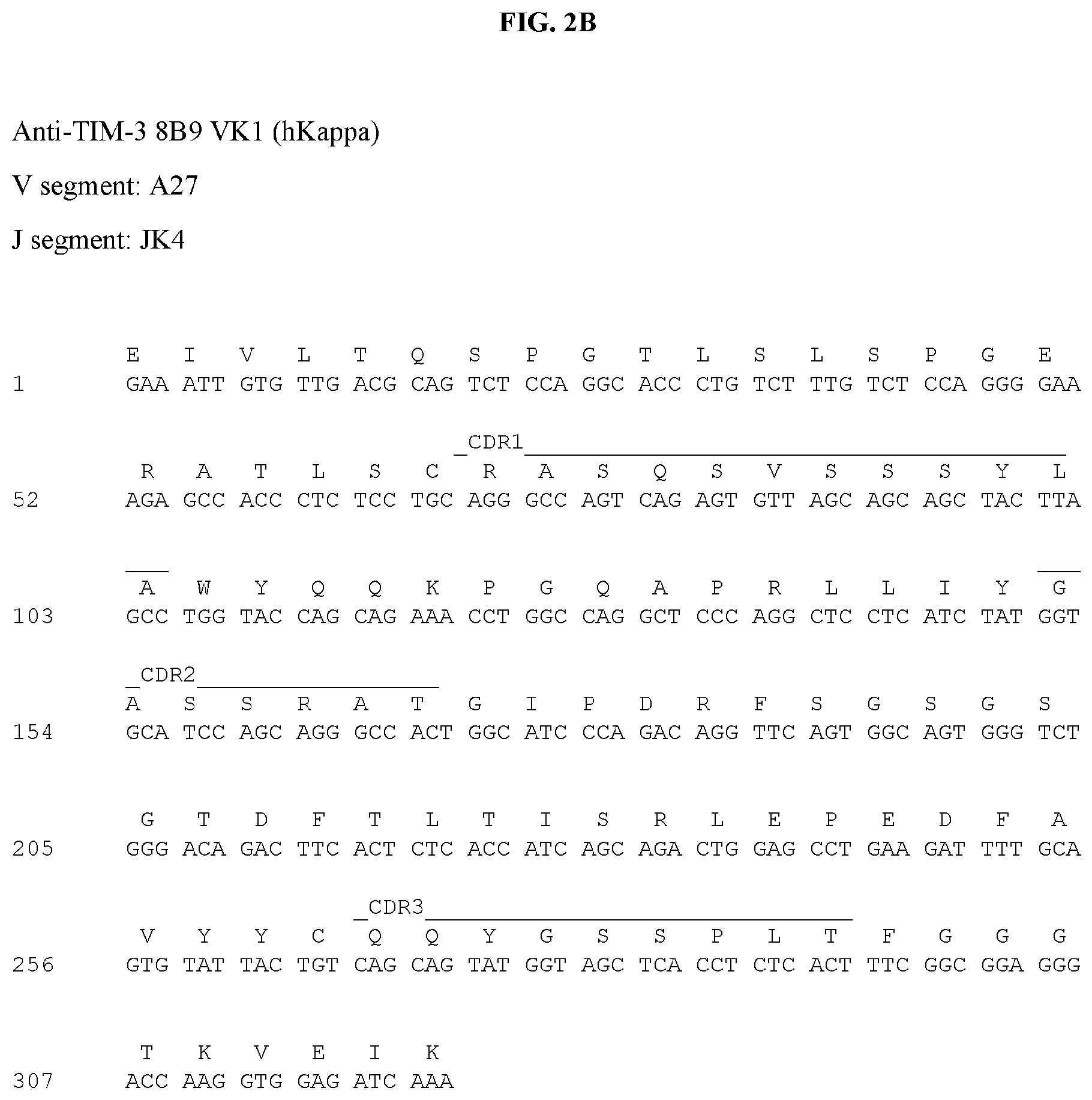 Patent US12129297 Figure 5 – Antibodies against TIM3 and uses thereof