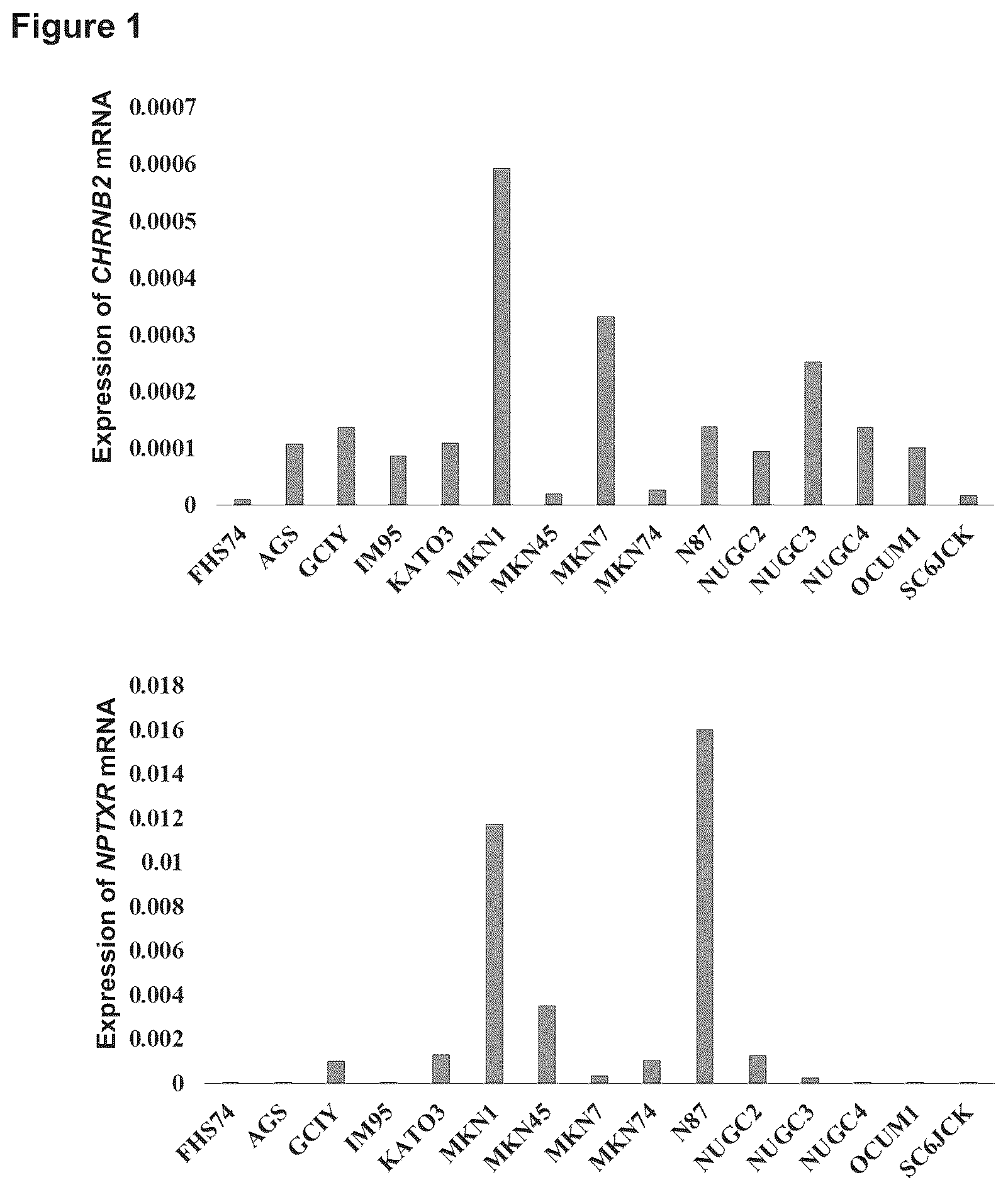 Patent US12129301 — Therapeutic agent targeted to receptor protein, test agent, antibody that binds to receptor protein, and screening method for molecularly targeted drugs — Figure 1