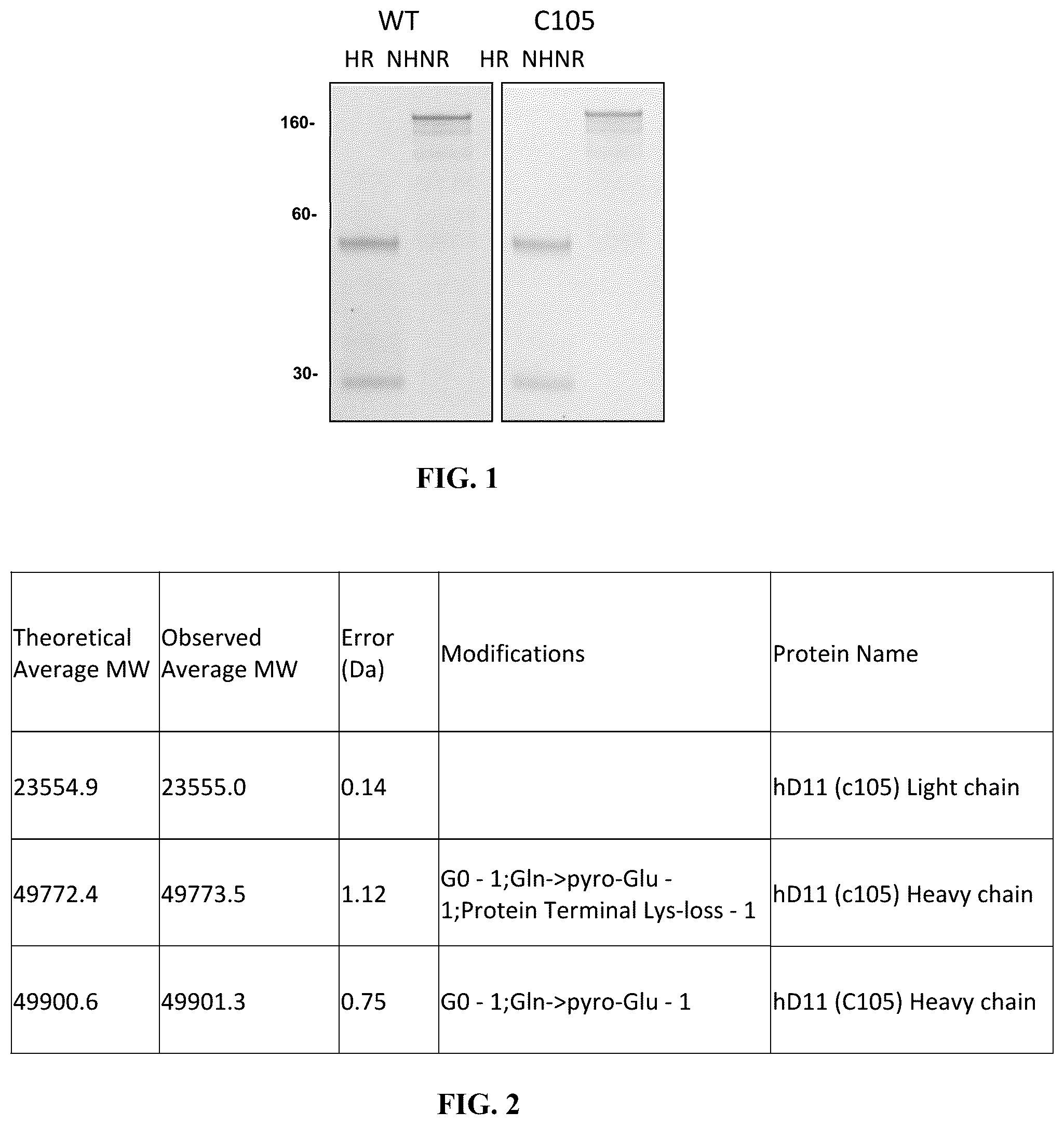Patent US12129302 Figure 1 – Anti-CD-25 antibody